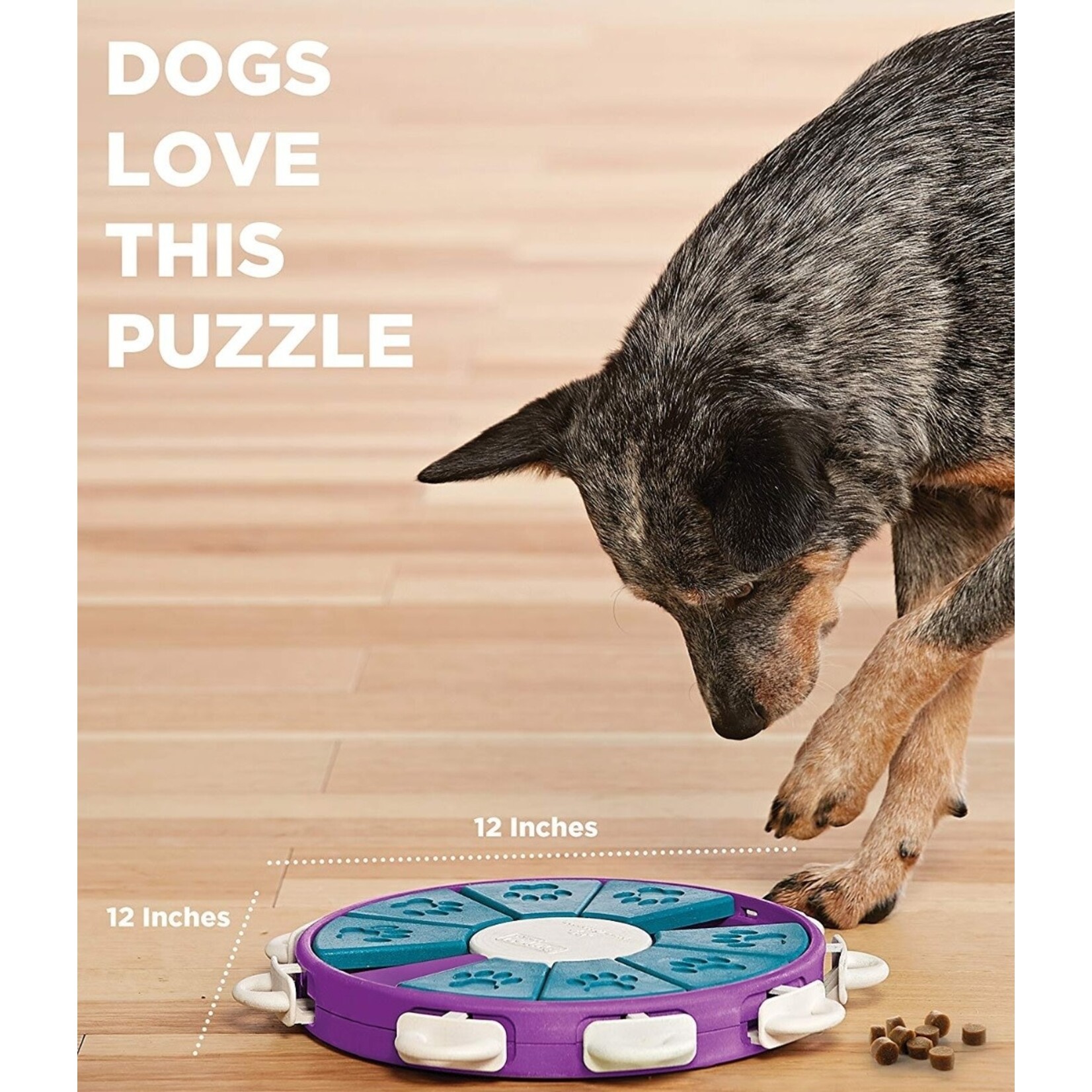 Outward Hound Nina Ottosson Brick Interactive Puzzle Game Dog Toy