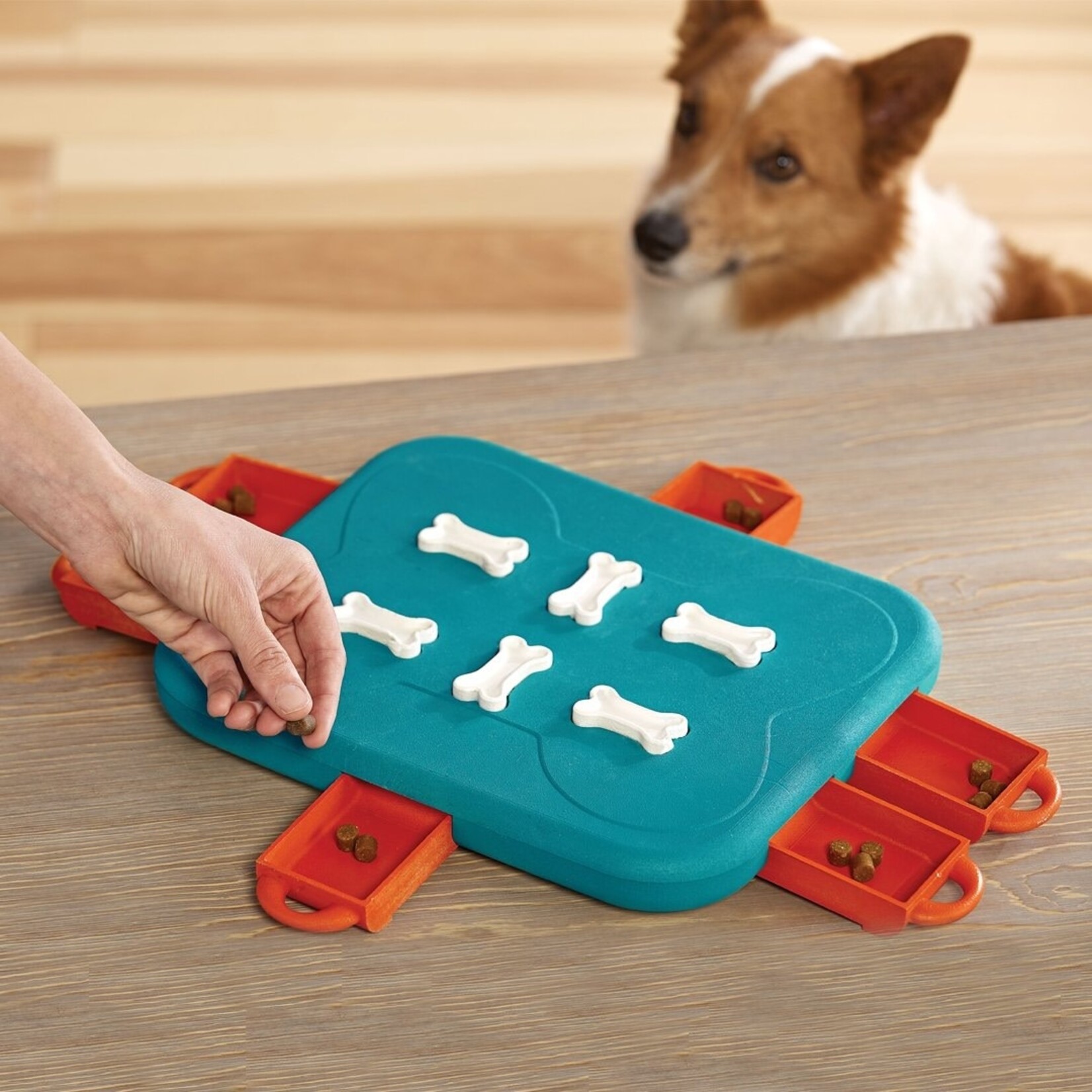 Outward Hound Nina Ottosson Puppy Dog Treat Puzzle- Level 3 (Advanced)