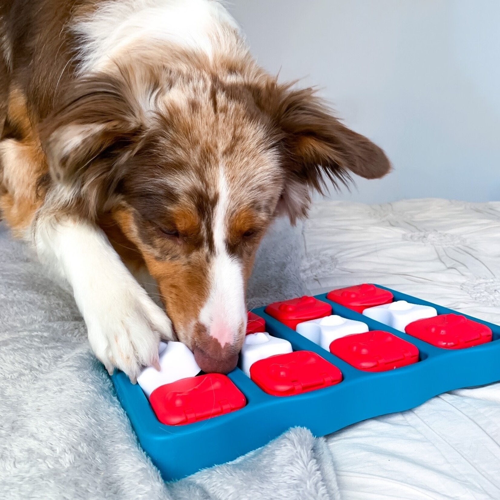 Nina Ottosson by Outward Hound Dog Brick (Level 2) Interactive Puzzle Toy for Dogs