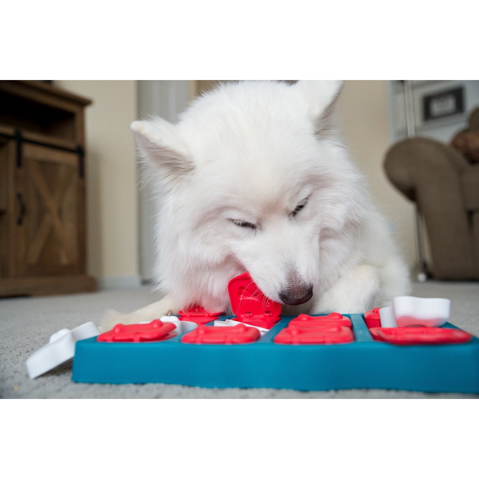 Nina Ottosson by Outward Hound Dog Brick (Level 2) Interactive Puzzle Toy for Dogs