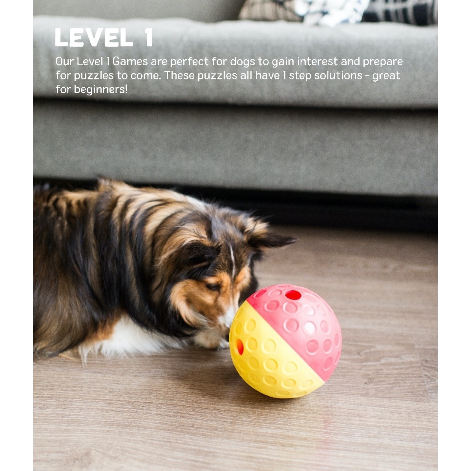 Nina Ottosson by Outward Hound Treat Tumble Small (Level 1) Interactive Puzzle Toy for Dogs