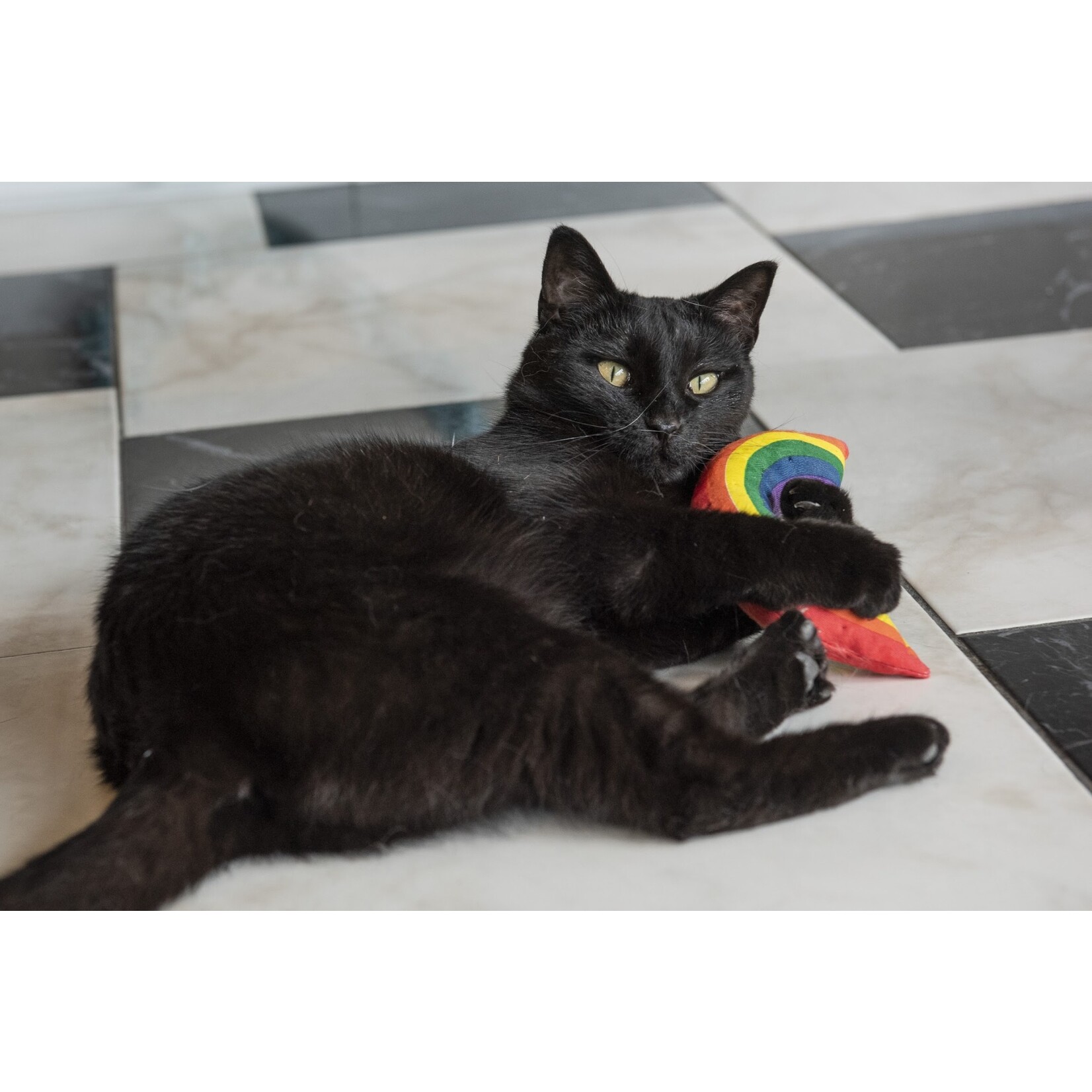 Yeowww! Catnip Catnip Rainbow Cat Toy