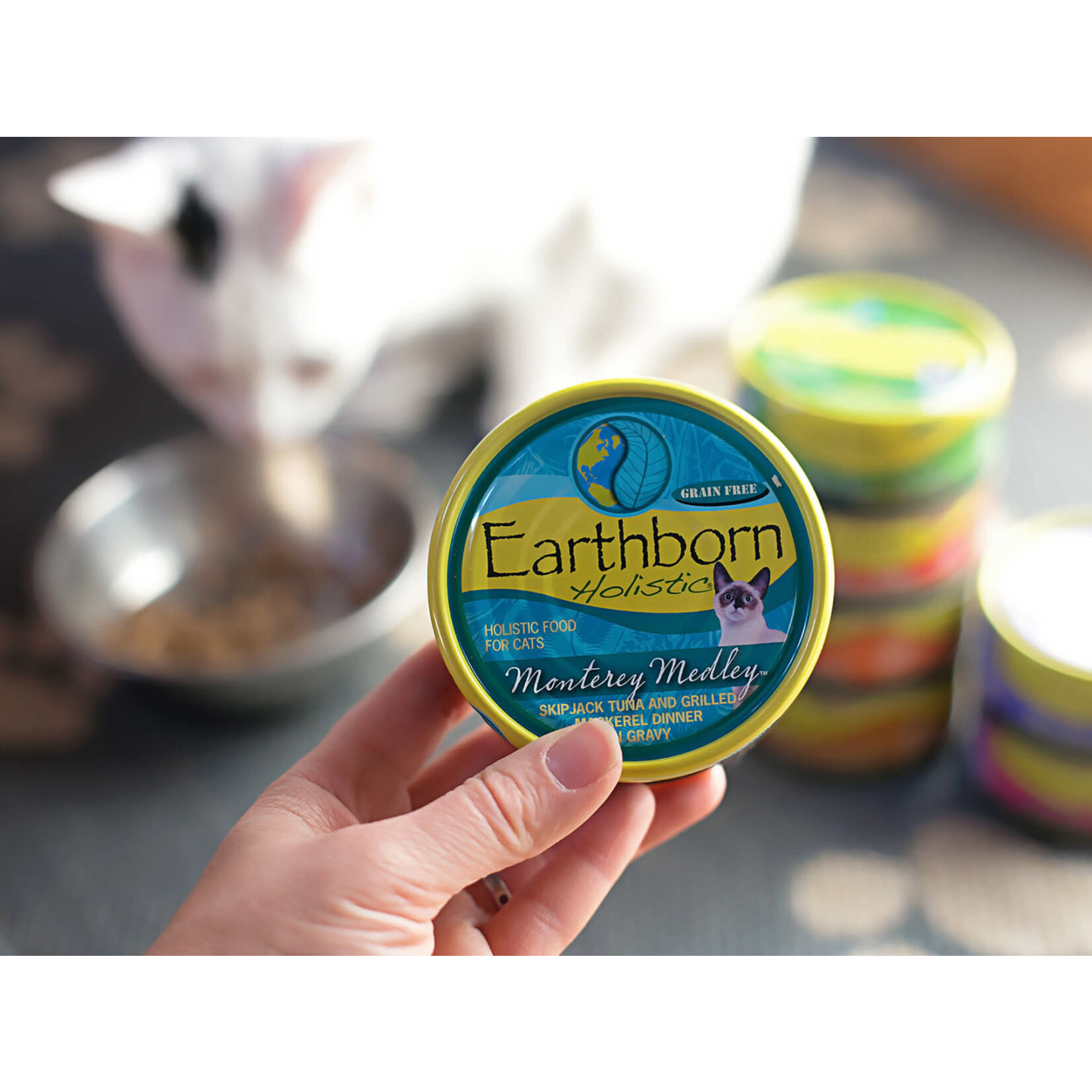 Earthborn Holistic Monterey Medley Canned Cat Food