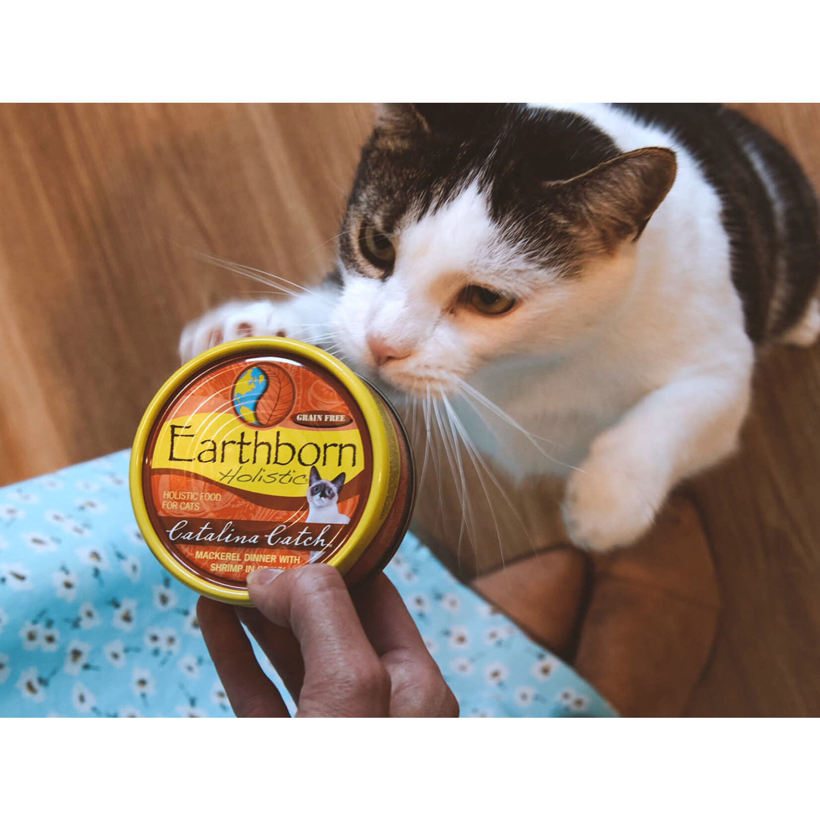 Earthborn Holistic Catalina Catch Canned Cat Food