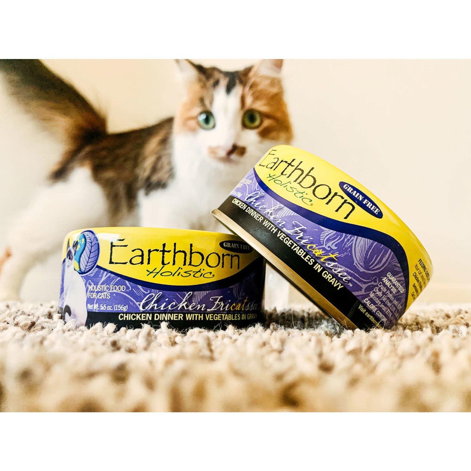 Earthborn Holistic Chicken Fricatssee Canned Cat Food