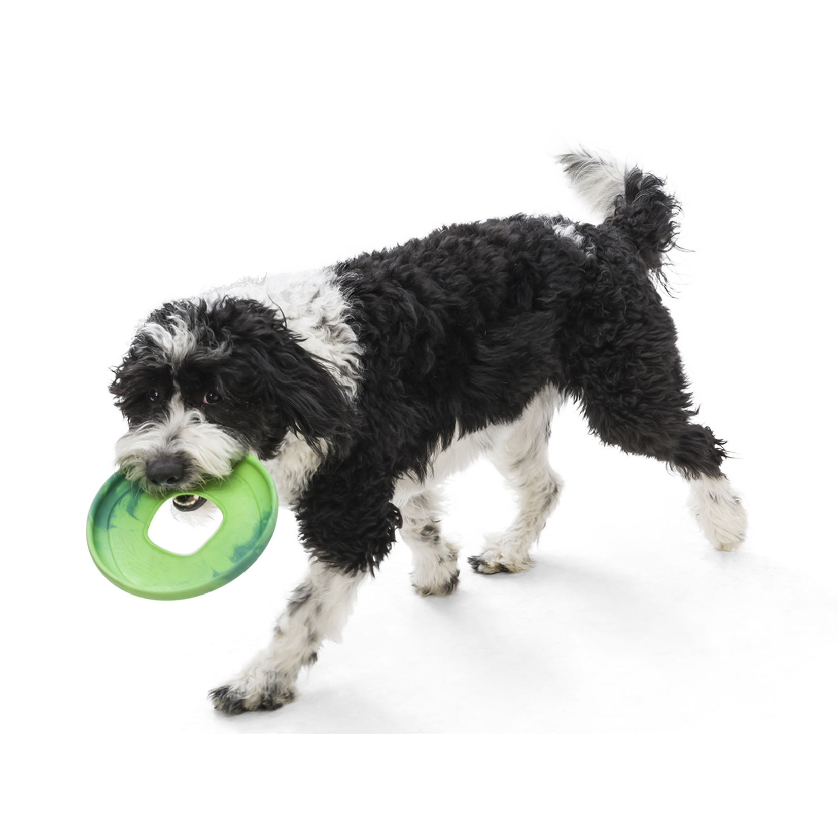 West Paw Sailz Seaflex Dog Frisbee