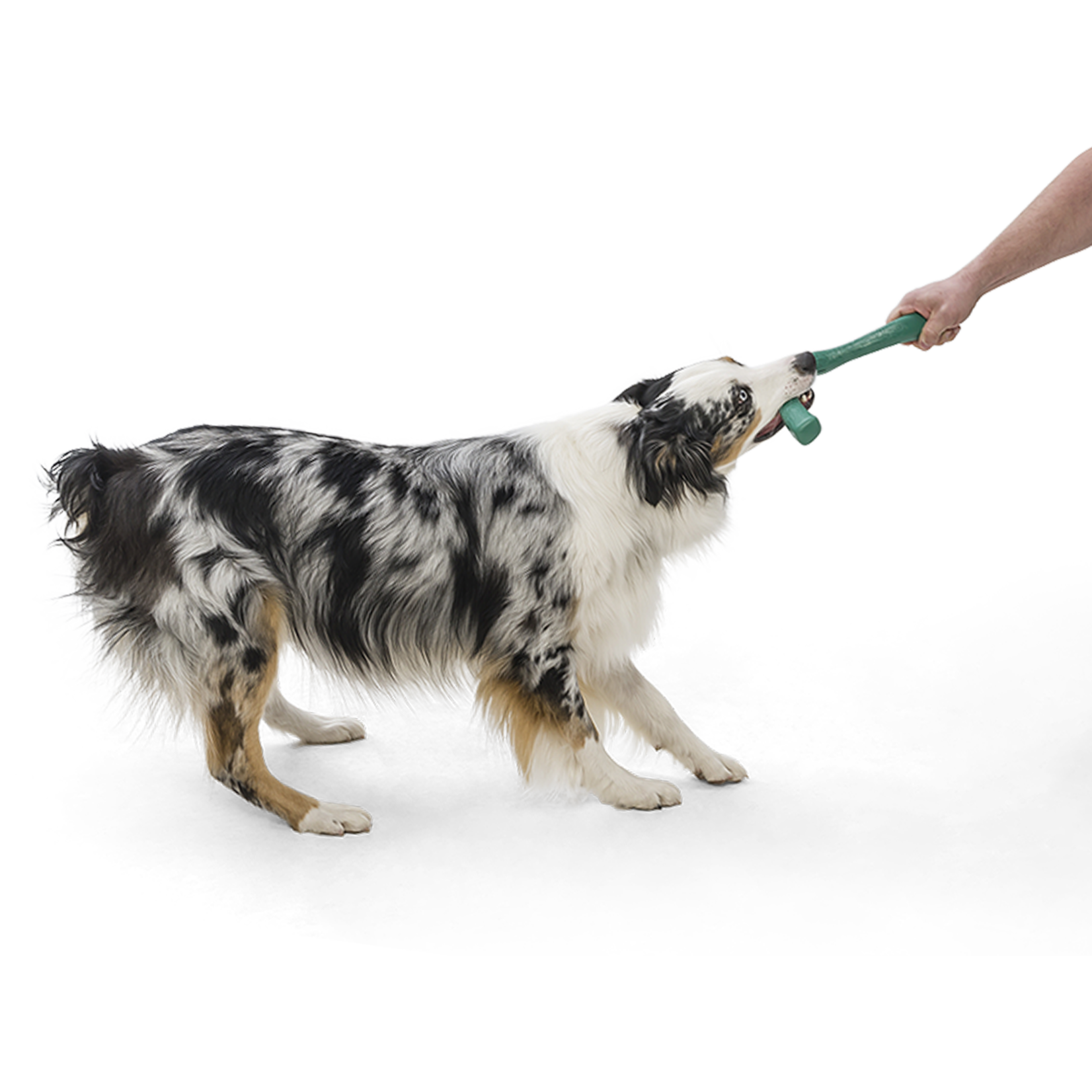 West Paw Snorkl Seaflex Dog Toy
