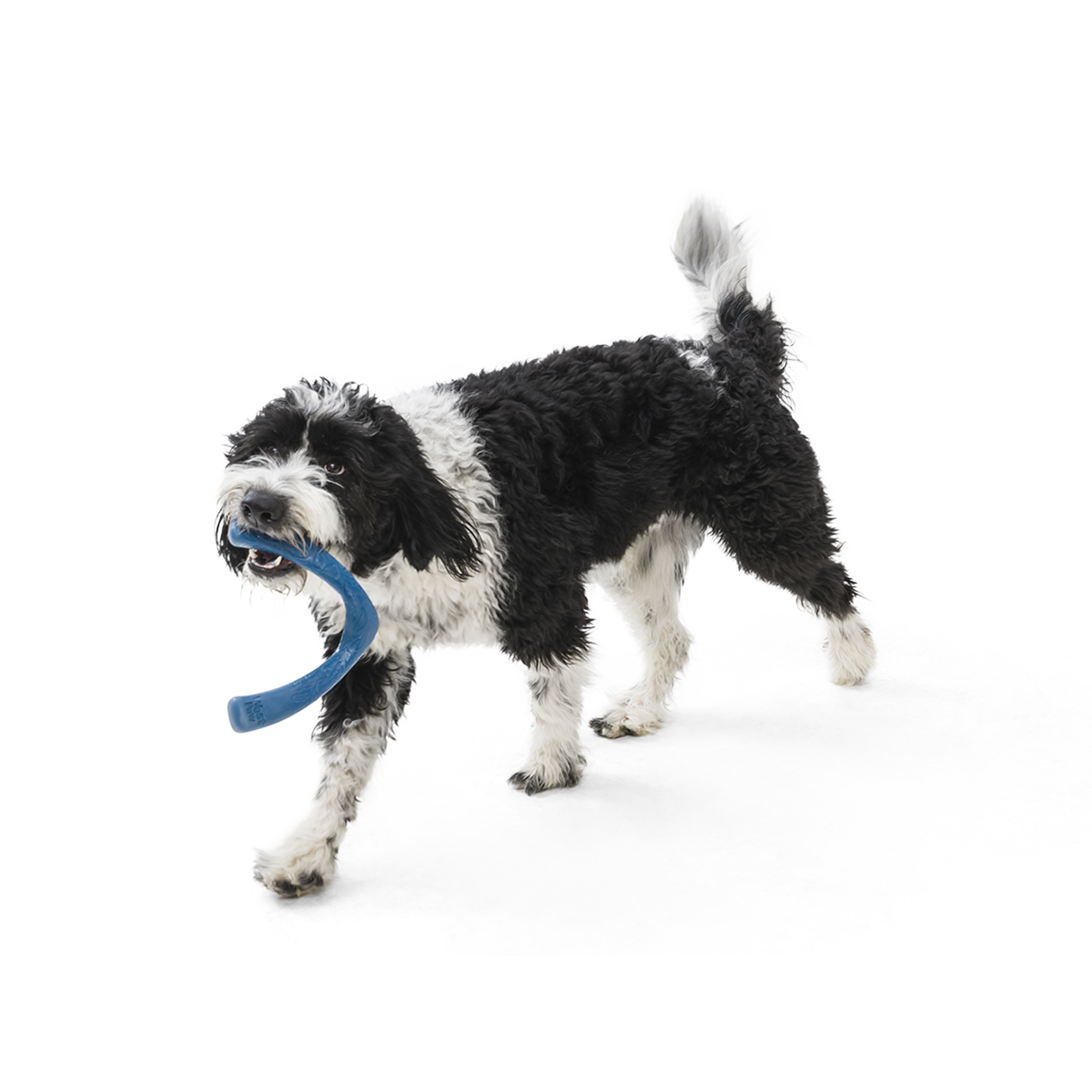 West Paw Zogoflex Bumi Tug Dog Toy