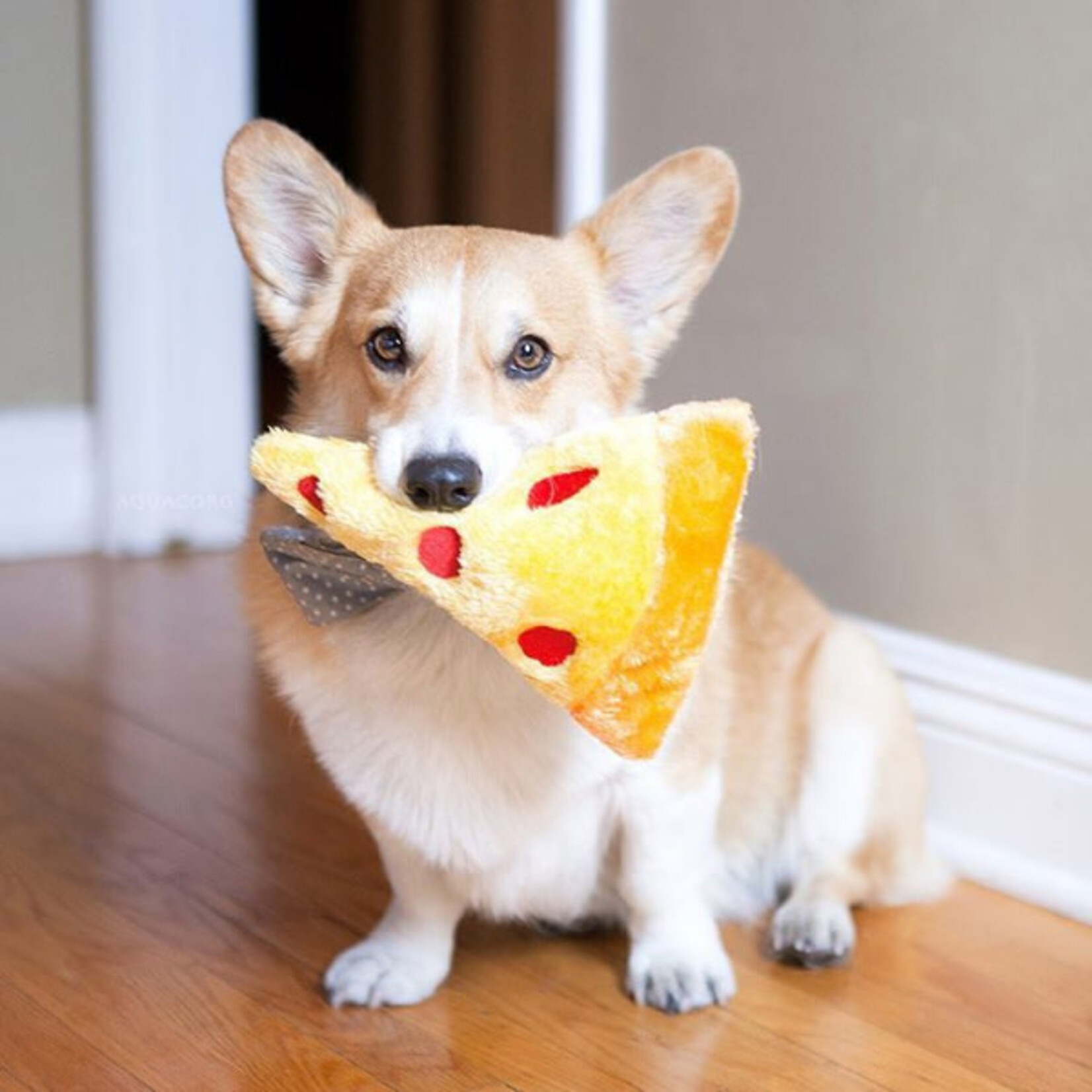 ZippyPaws NomNomz - Pizza Slice