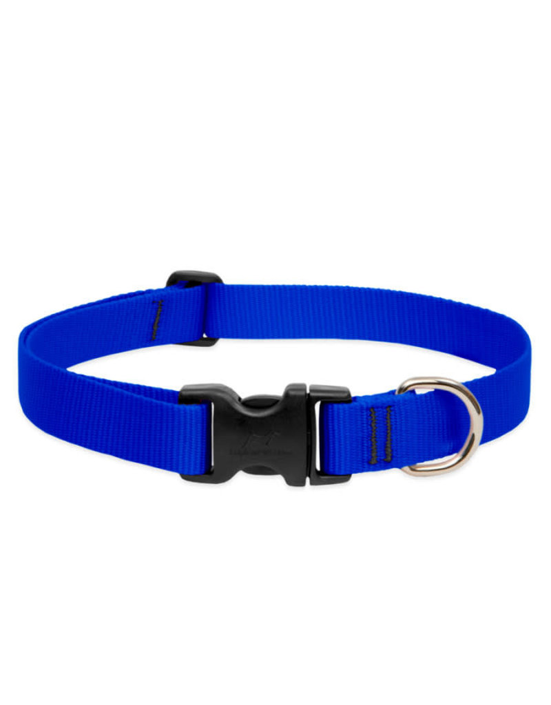 LupinePet  Basic Solids Dog Collar