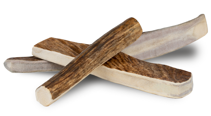 Primal Pet Foods Moose Antler Split Happy Tails Market