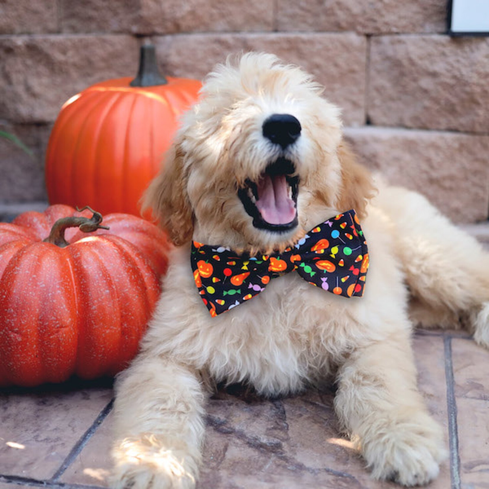 Huxley and kent bow ties cheap
