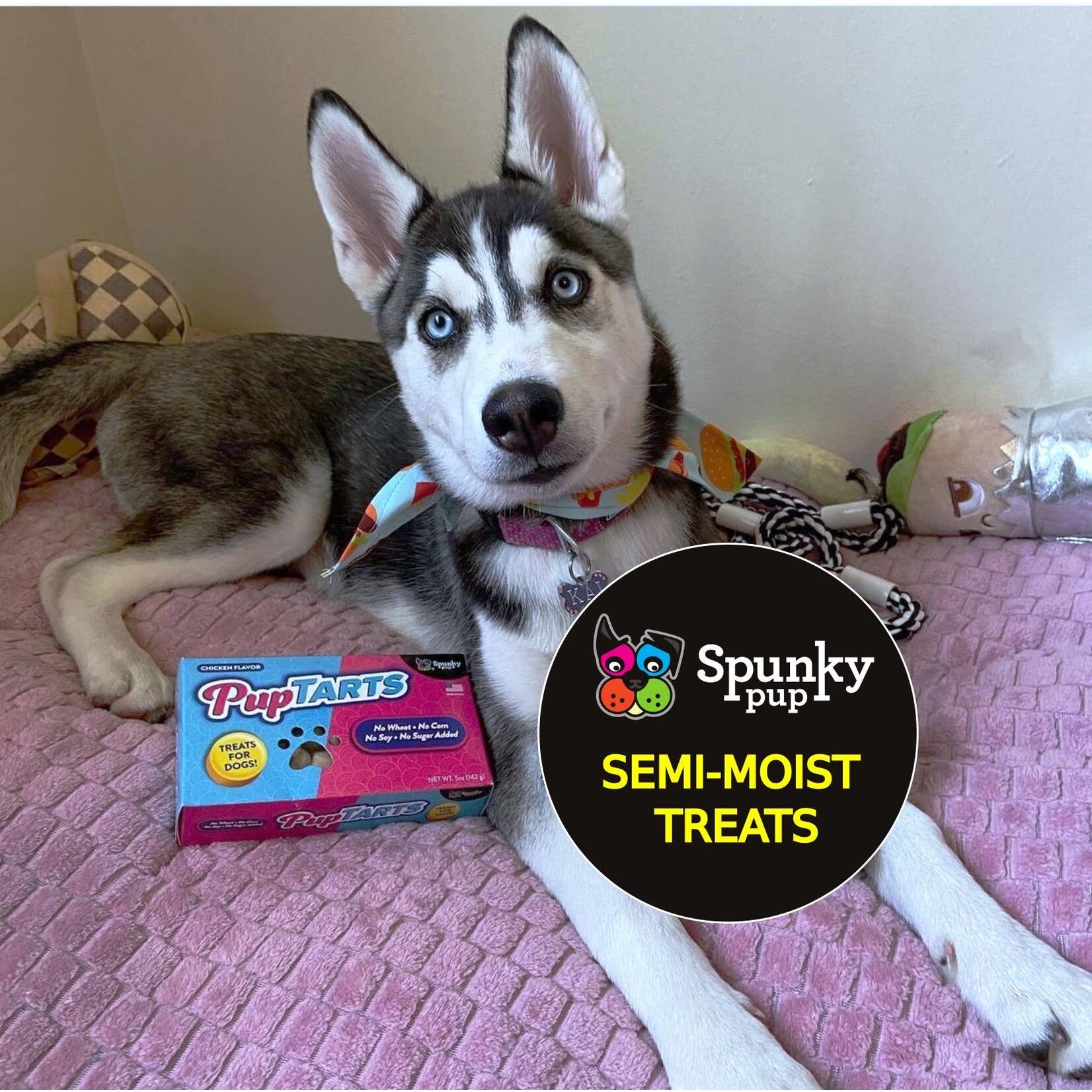 Spunky Pup Pup Tarts Dog Treats, Chicken Flavor