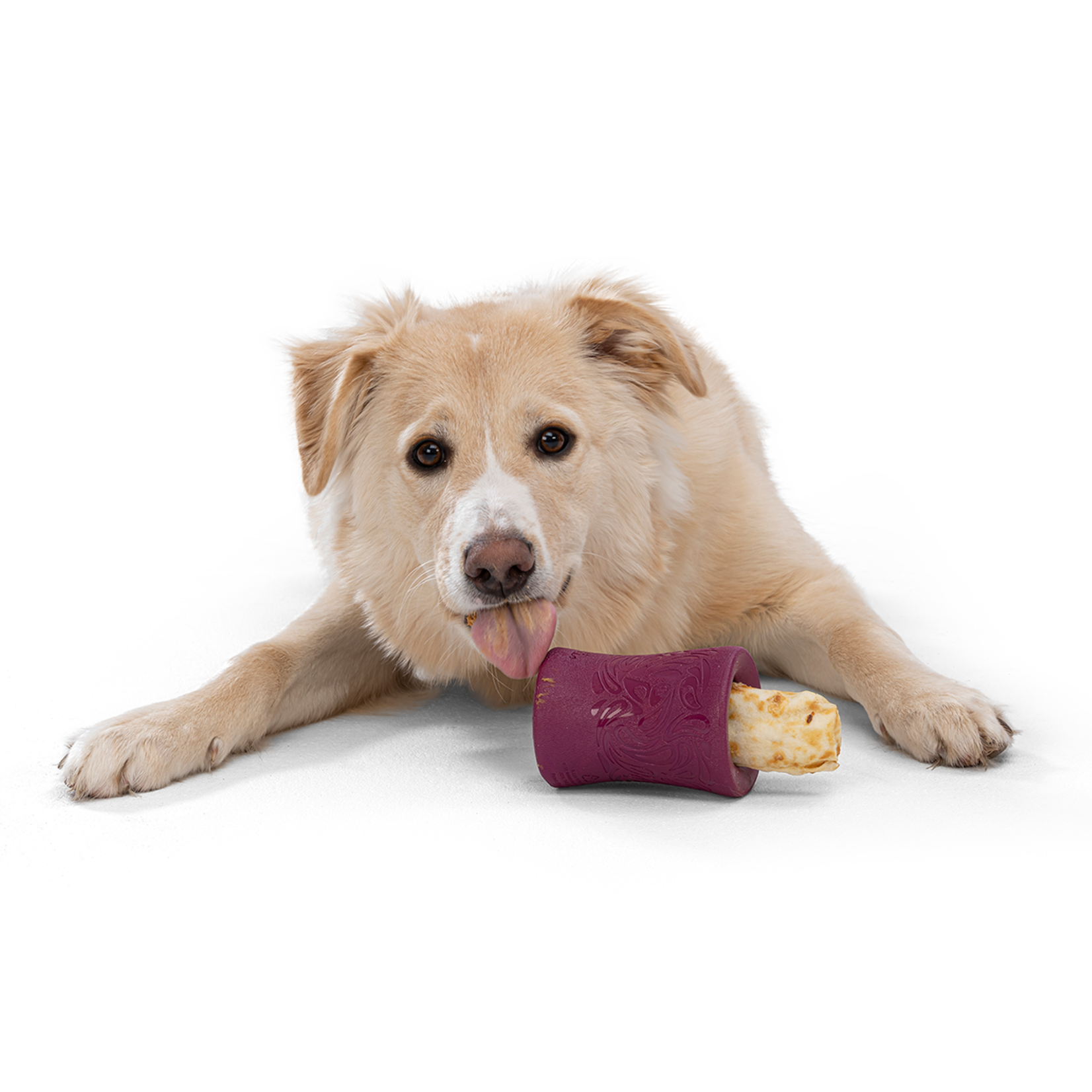 West Paw Collection of Pet Accessories Made With Ocean-Bound Plastic