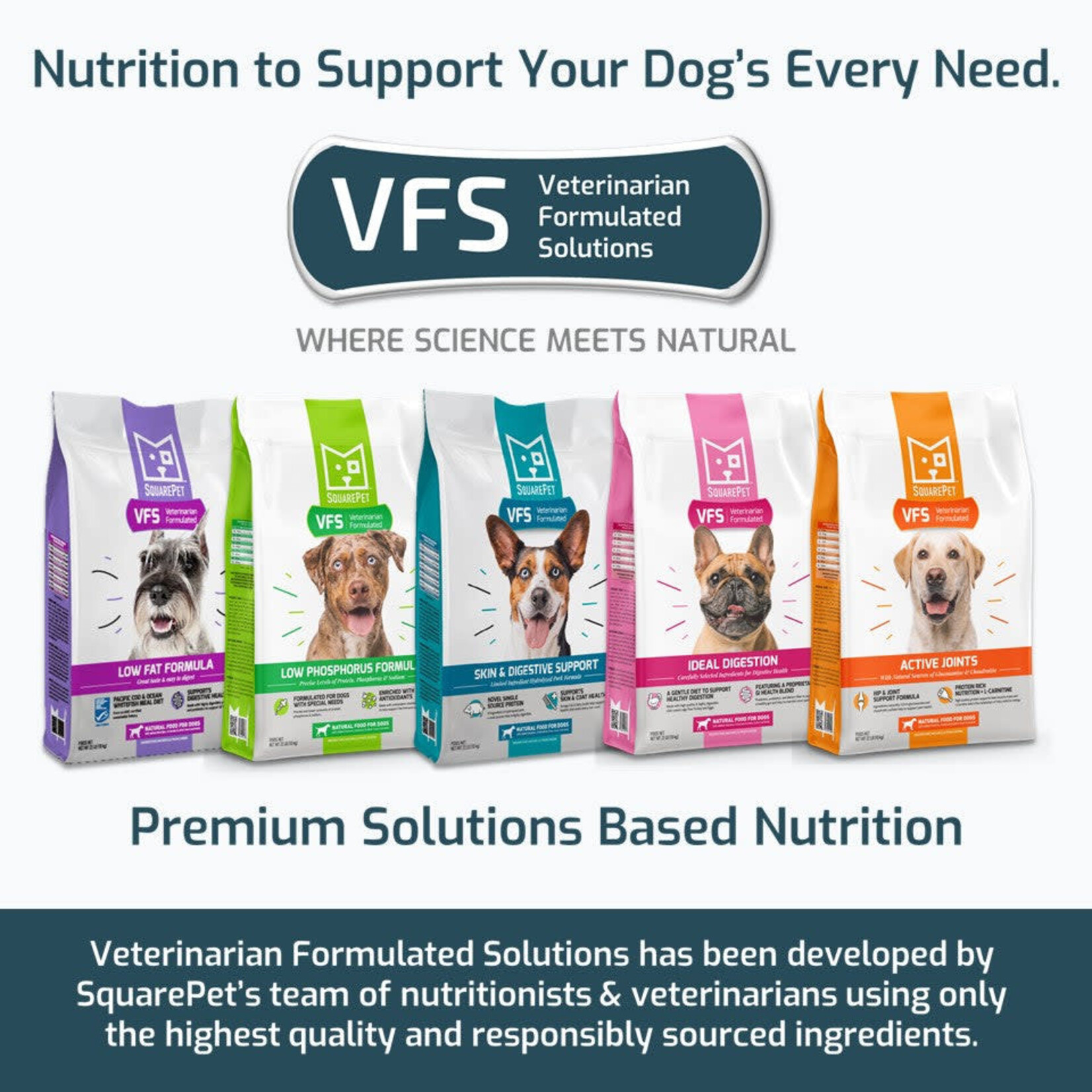SquarePet VFS Low Fat Formula Dog Food