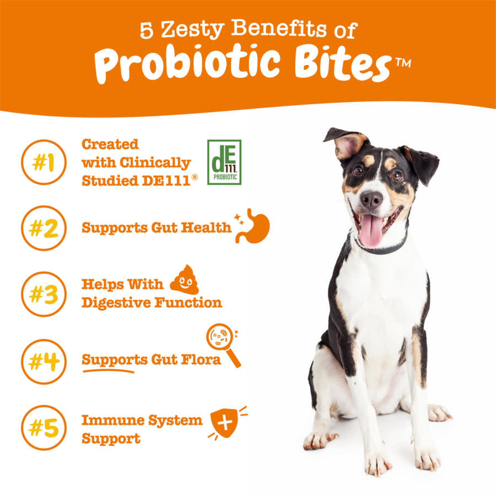 Zesty Paws Probiotic Bites Soft Chews for Dogs