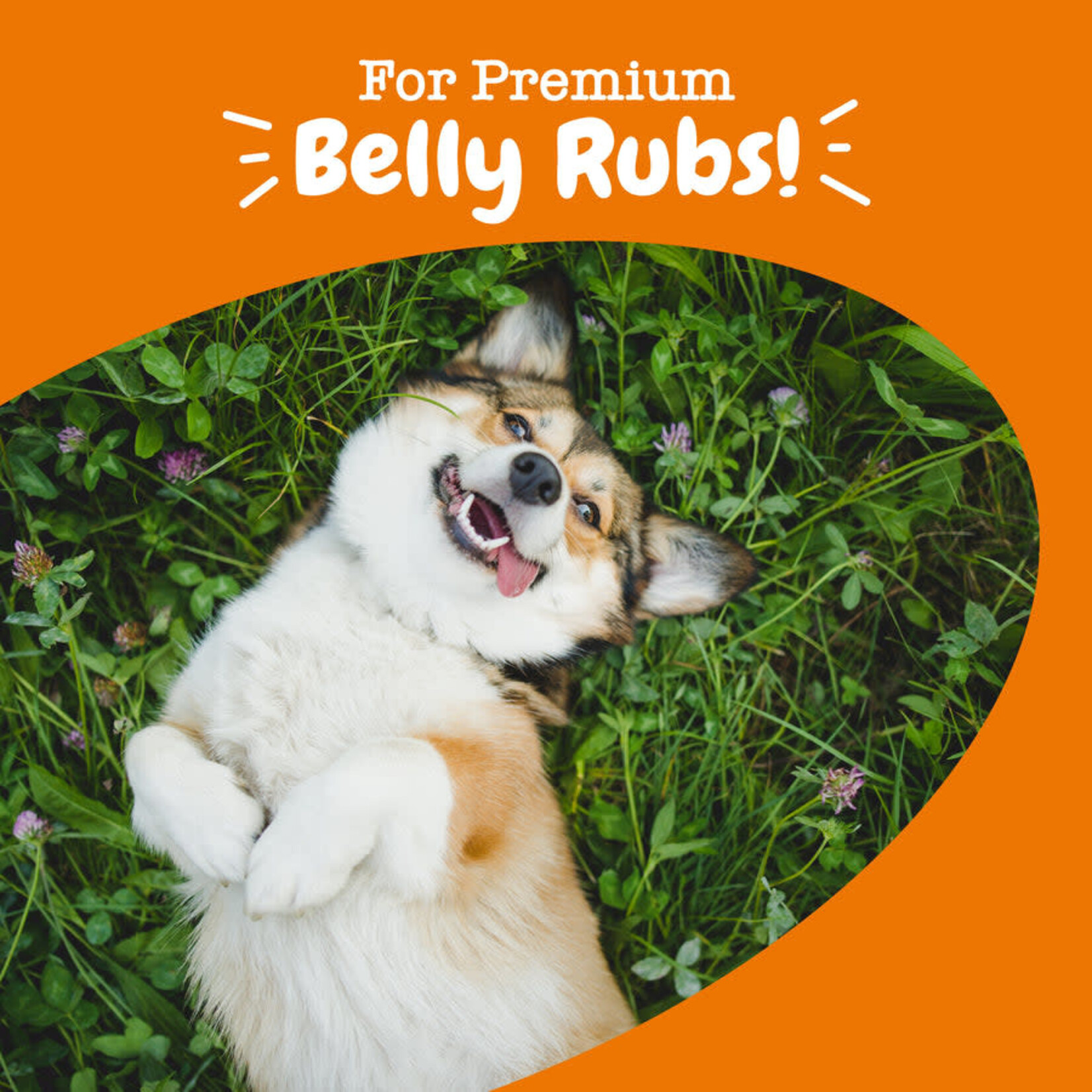 Zesty Paws Probiotic Bites Soft Chews for Dogs