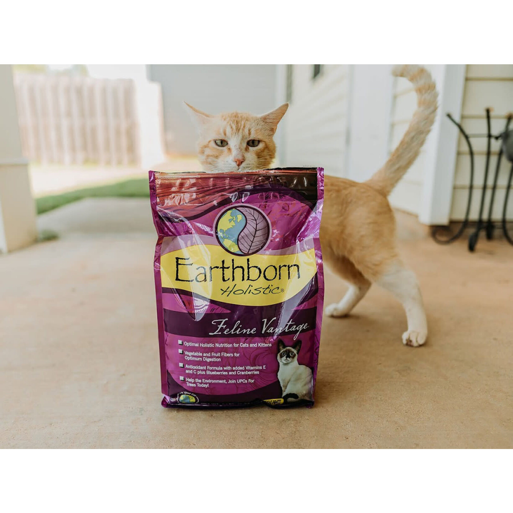 Earthborn Holistic Feline Vantage Natural Dry Cat Food