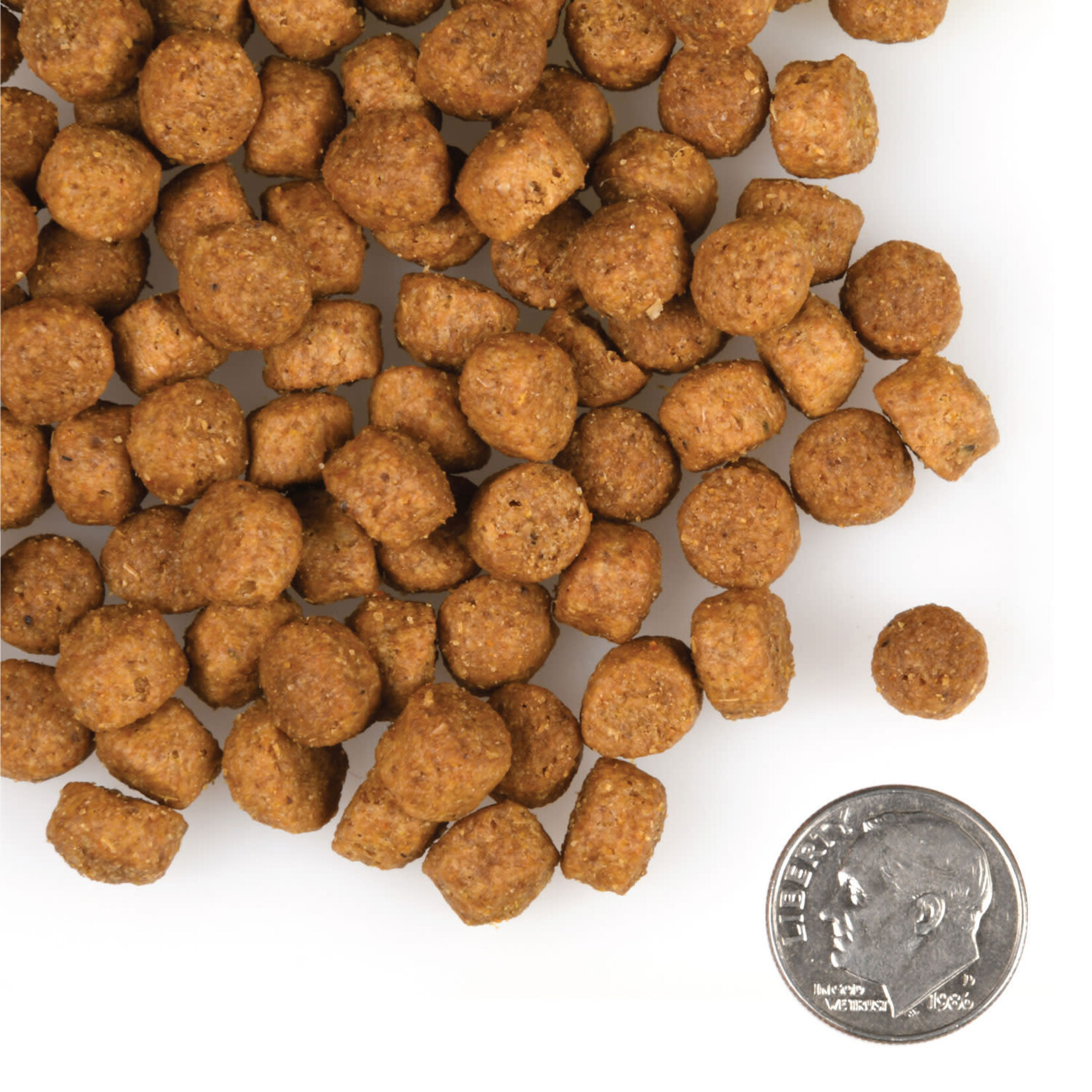 Fromm Large Breed Puppy Gold Dry Dog Food