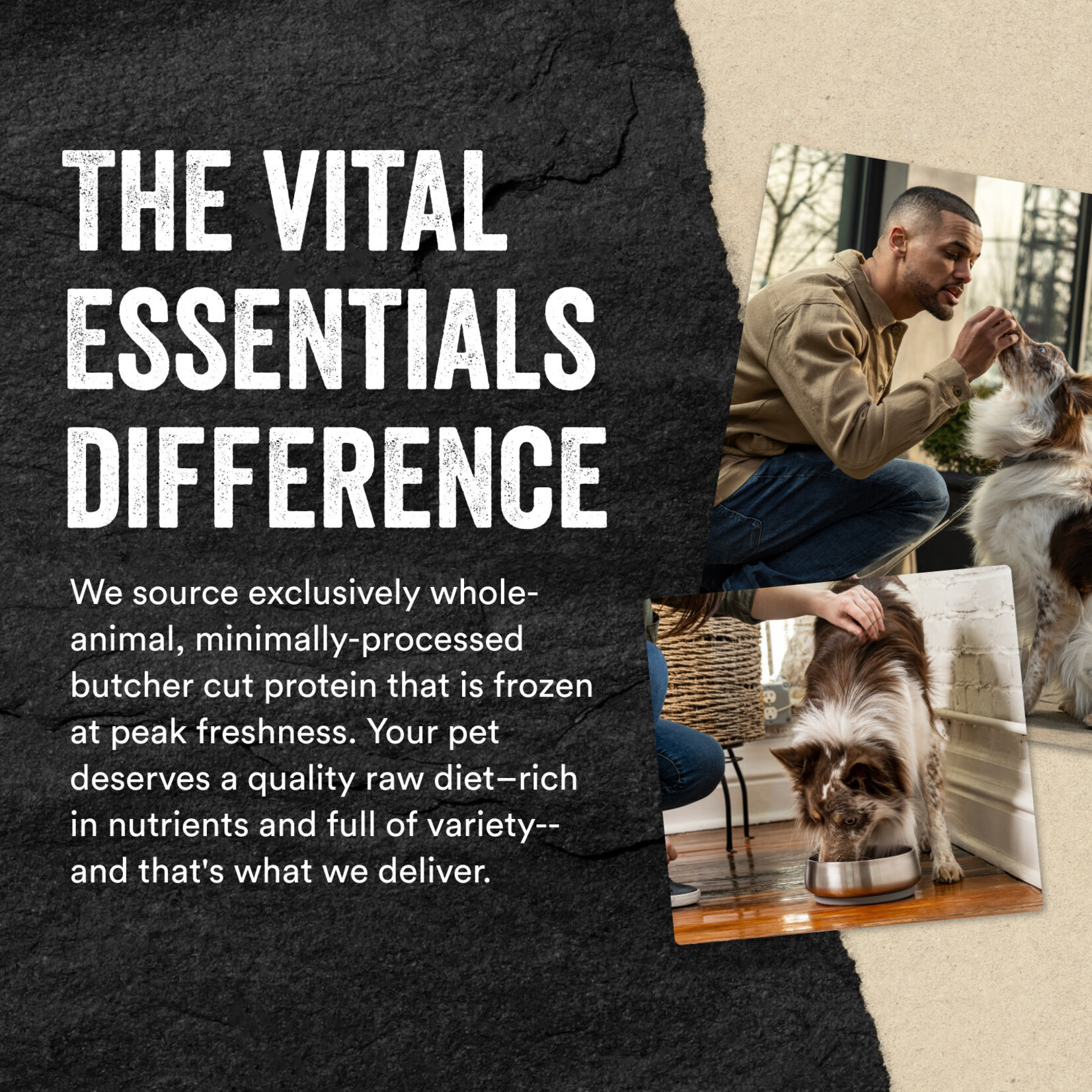 Vital Essentials Freeze-Dried Duck Bites Dog Treats