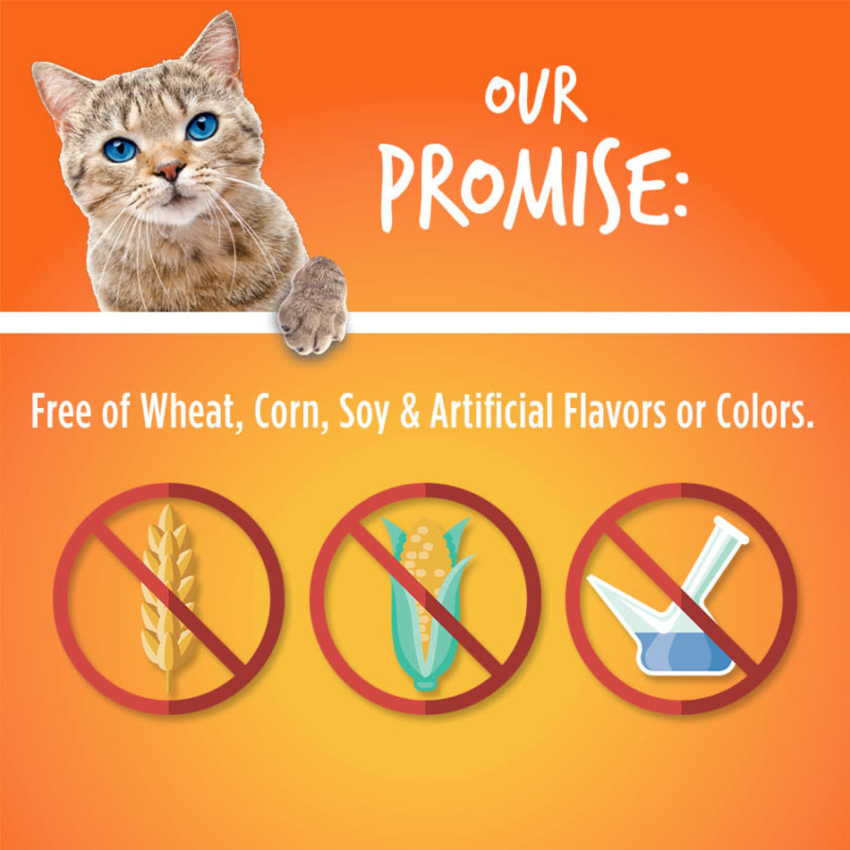 Tuna Flavor with Pumpkin Cat Treats