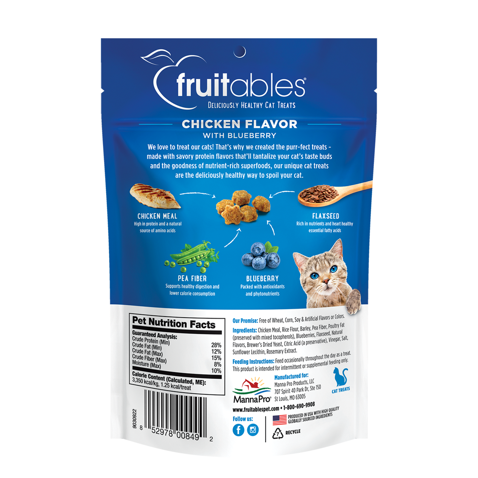 Fruitables Chicken Flavor with Blueberry Cat Treats