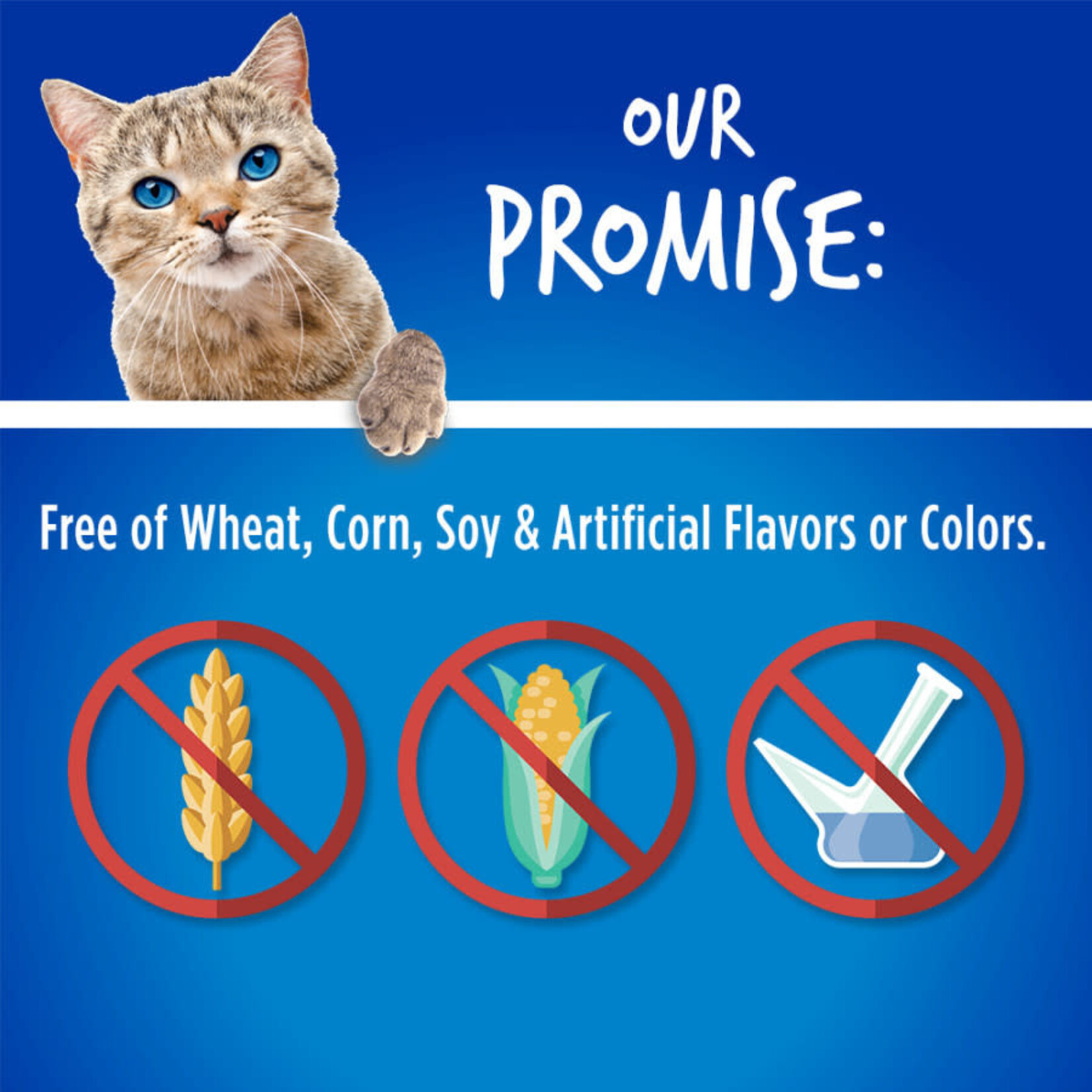 Chicken Flavor with Blueberry Cat Treats
