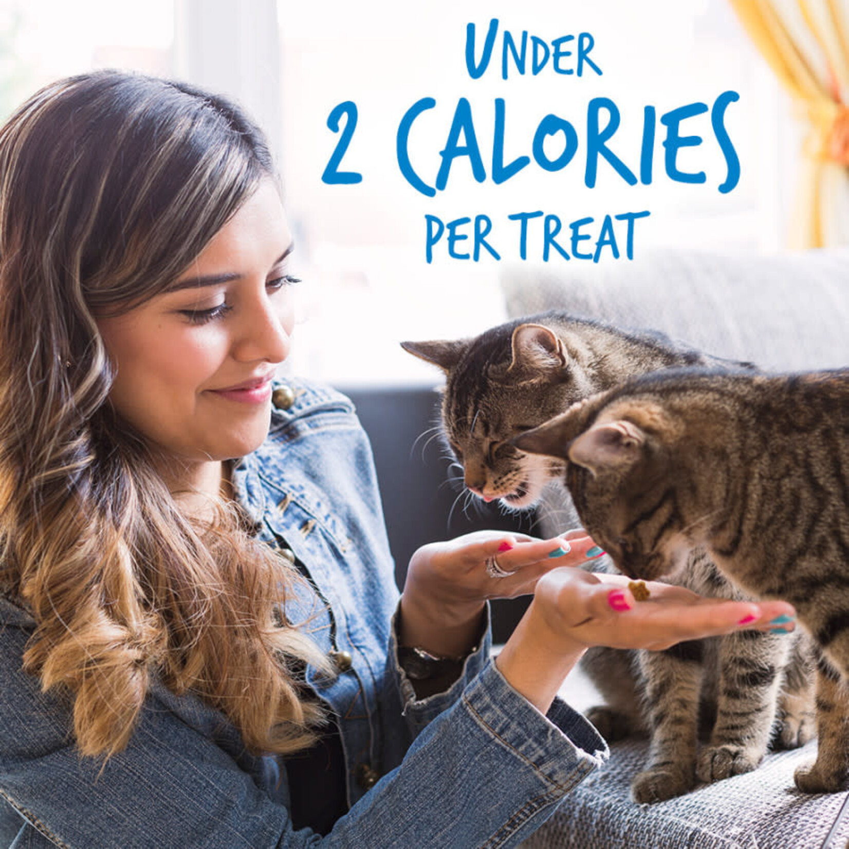 Chicken Flavor with Blueberry Cat Treats
