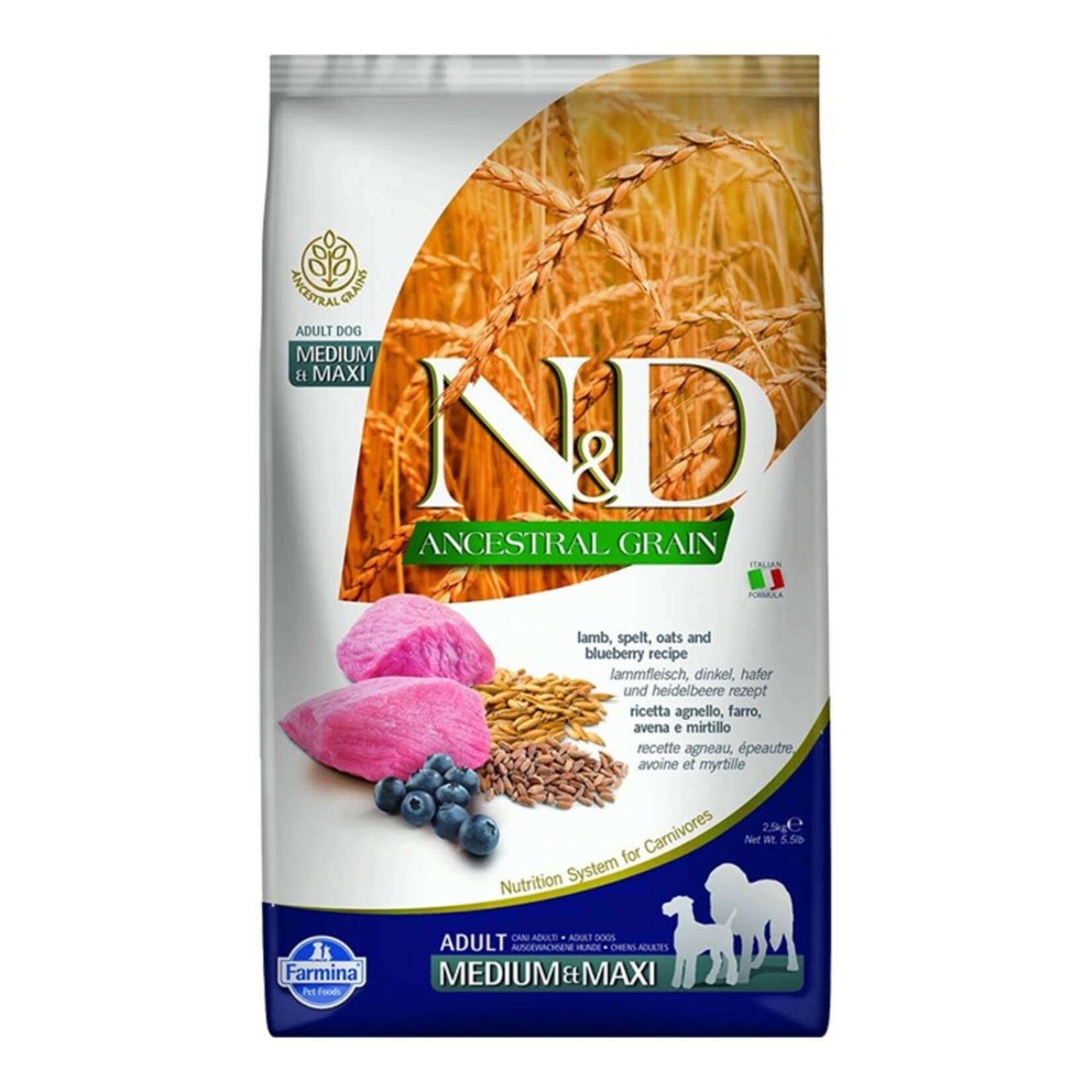 N&D Ancestral Grain Lamb & Blueberry Medium & Maxi Adult Dry Dog Food