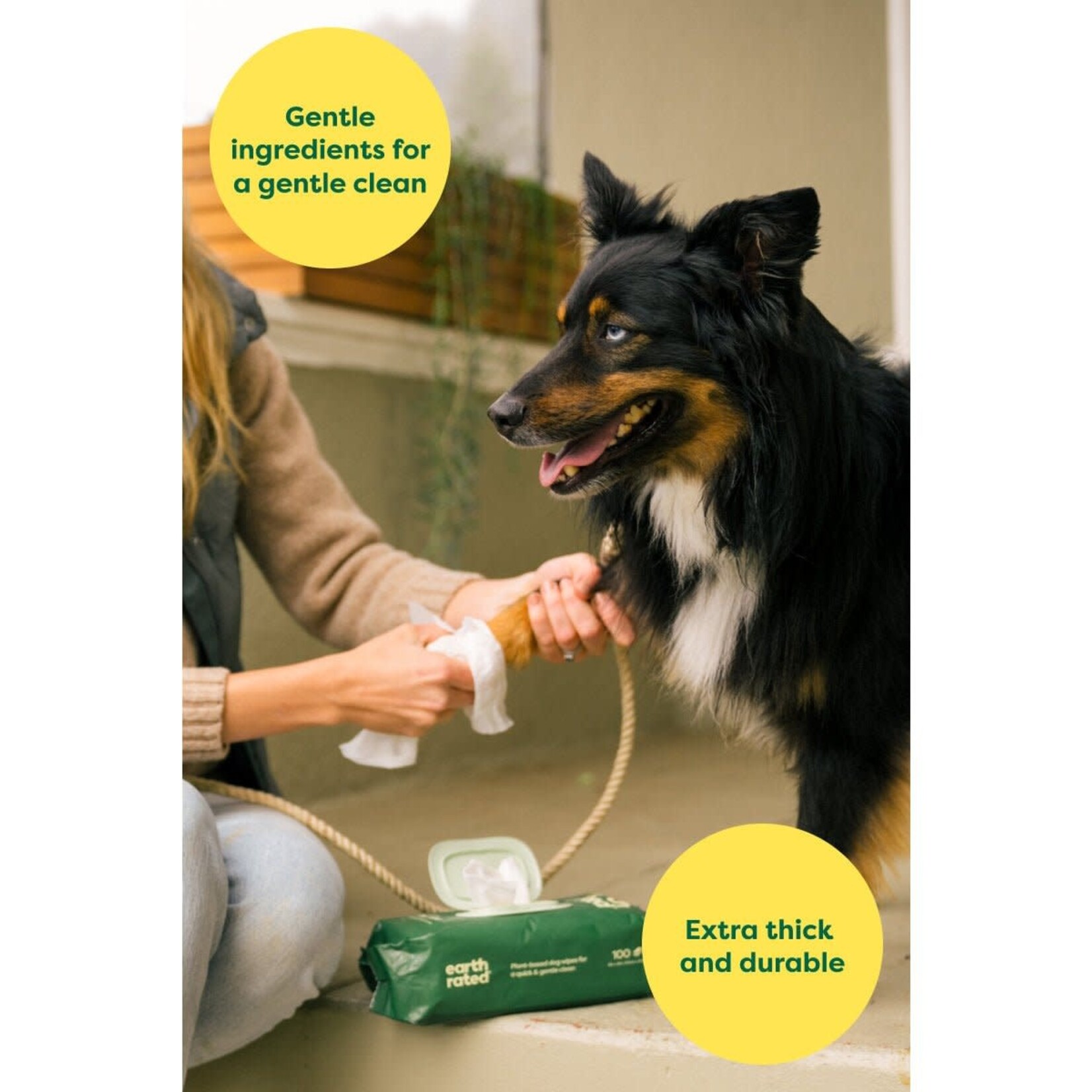 Earth Rated Plant-Based Dog Grooming Wipes - Unscented