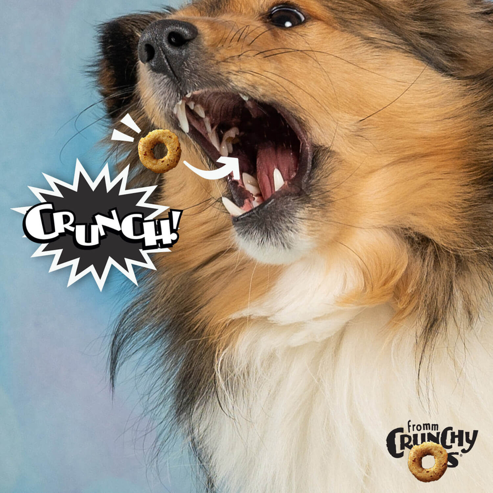 Fromm Crunchy Os Bacon Blasters Flavor Dog Treats