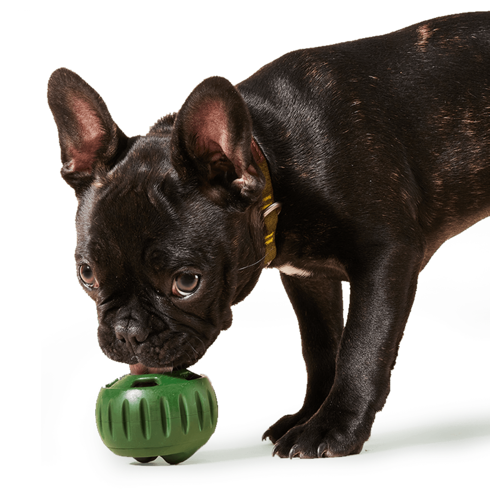 Woof Pet Pupsicle Power Chewer Treat Dispenser Toy