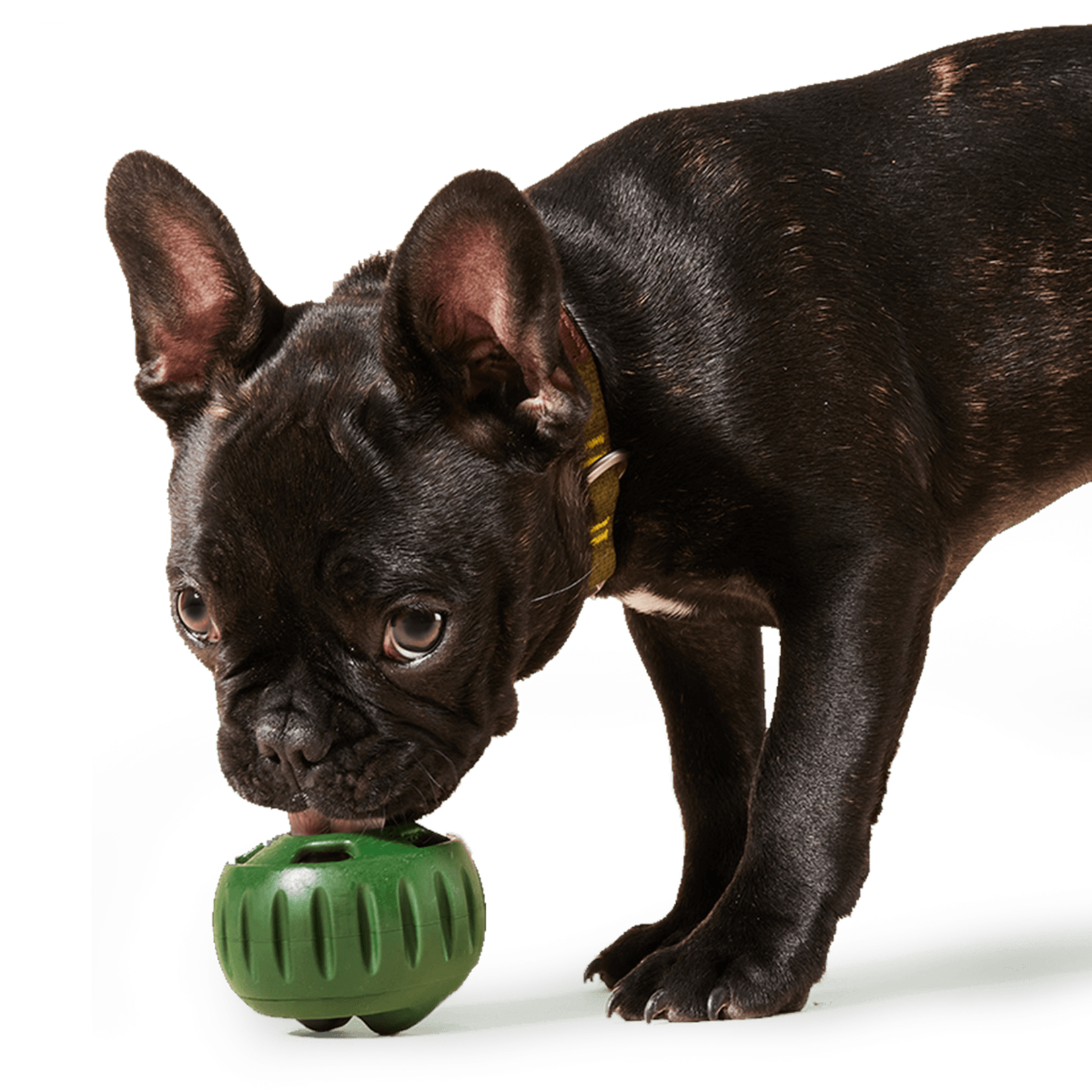 Woof Pet Pupsicle Power Chewer Treat Dispenser Toy