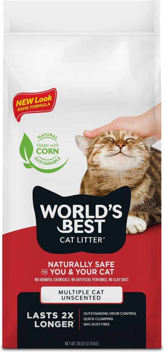 Best no odor cat litter discount