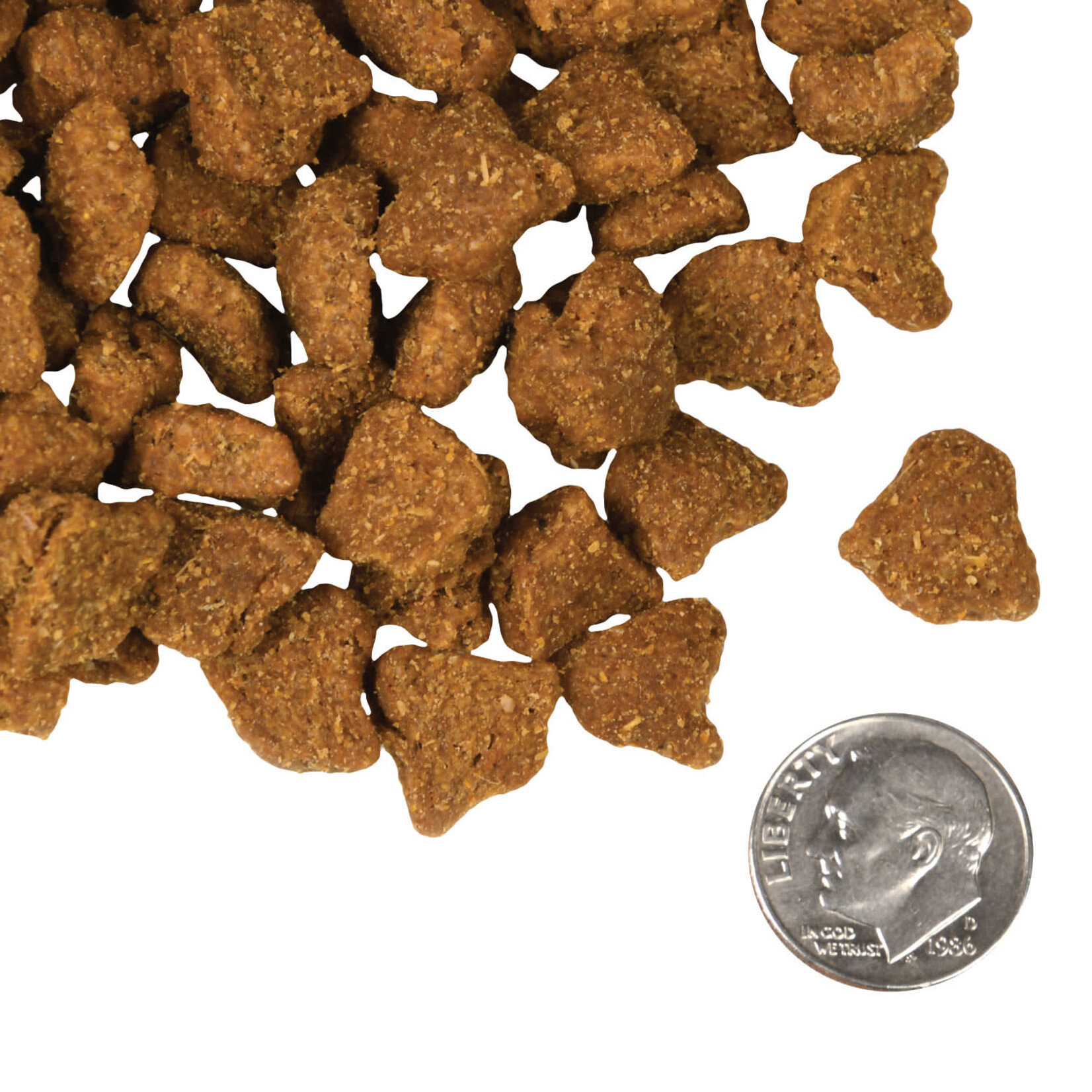 Fromm Four-Star Zealambder Recipe Dry Dog Food