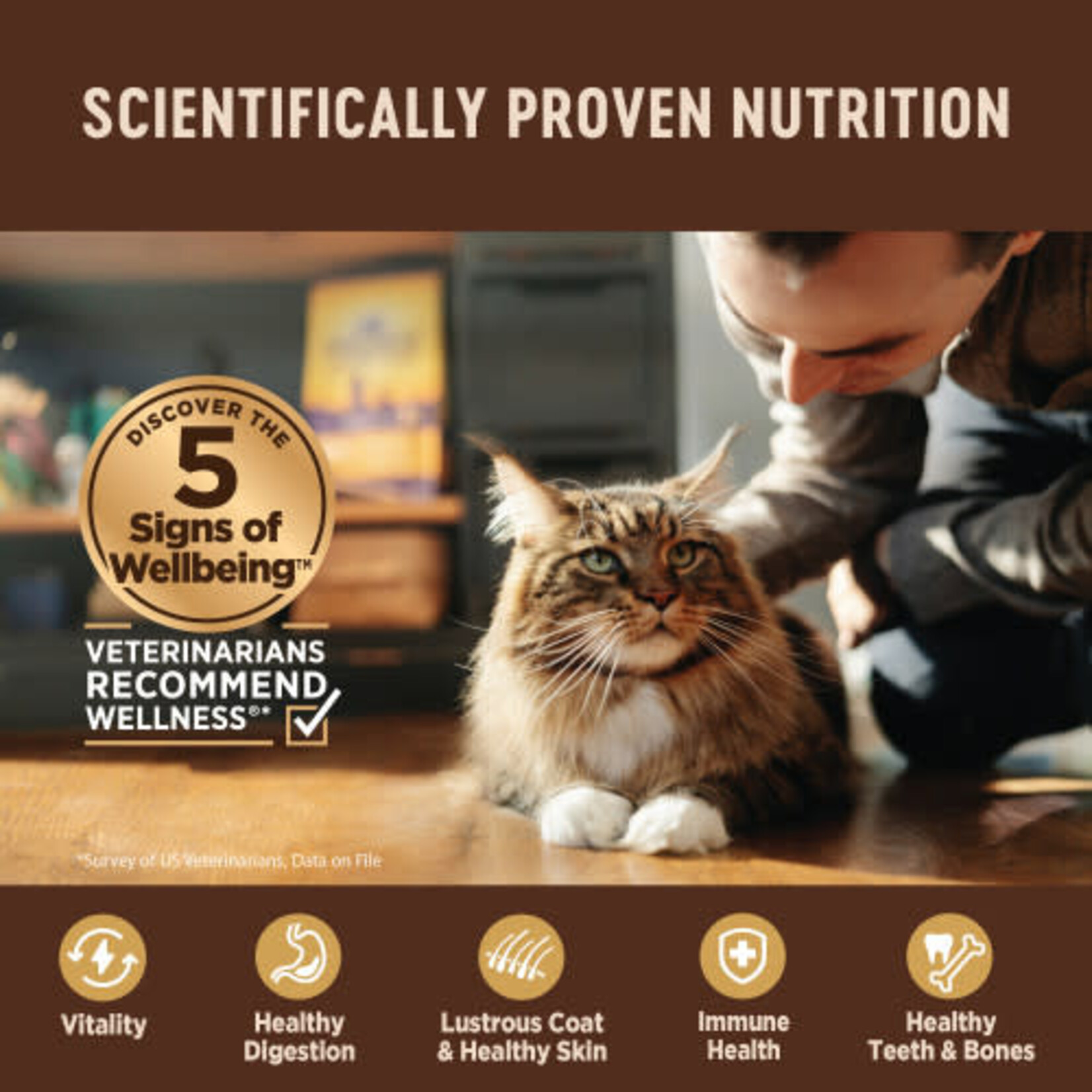 Wellness CORE Tiny Tasters Tuna Pate Wet Cat Food