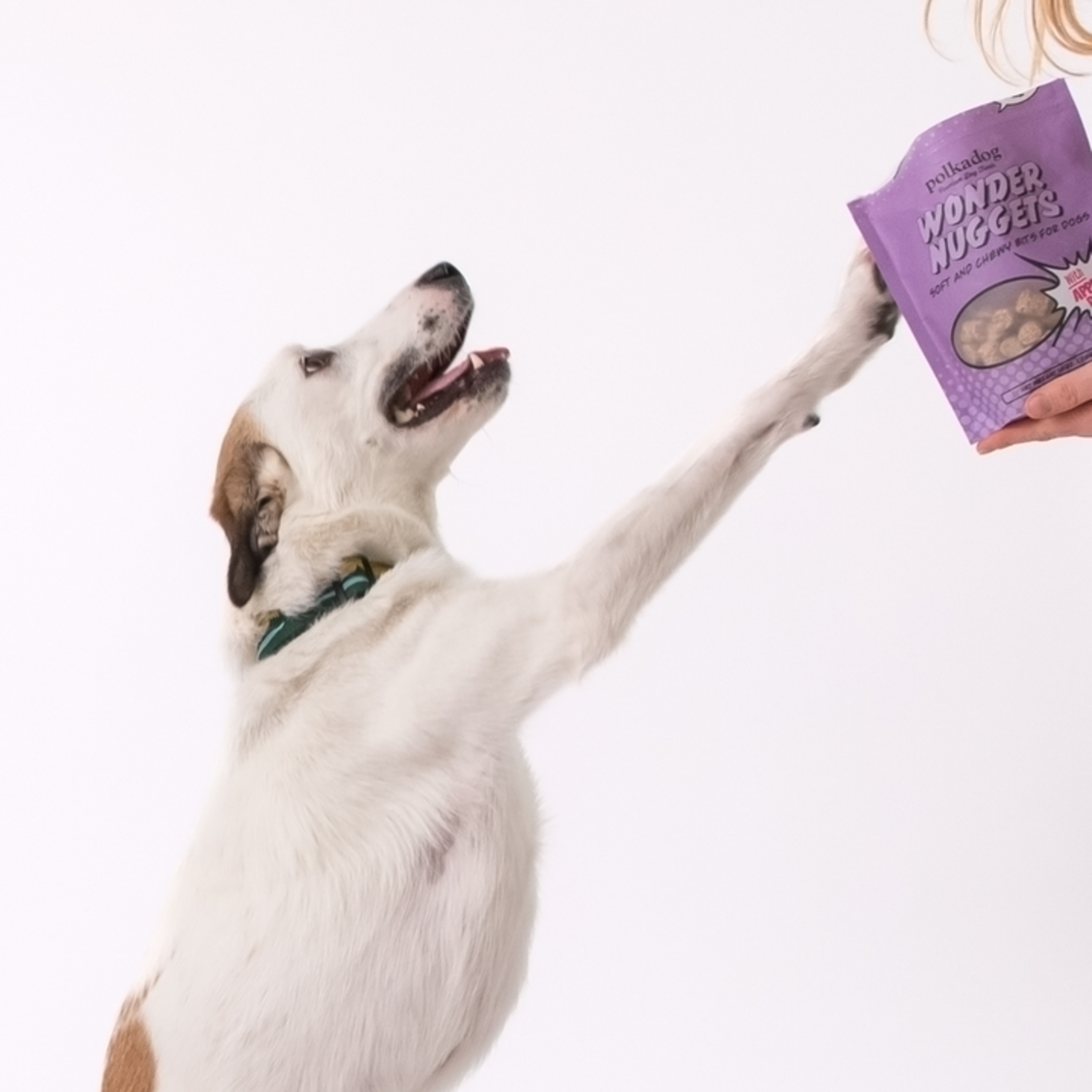 Polkadog Wonder Nuggets Pork & Apple Dog Treats