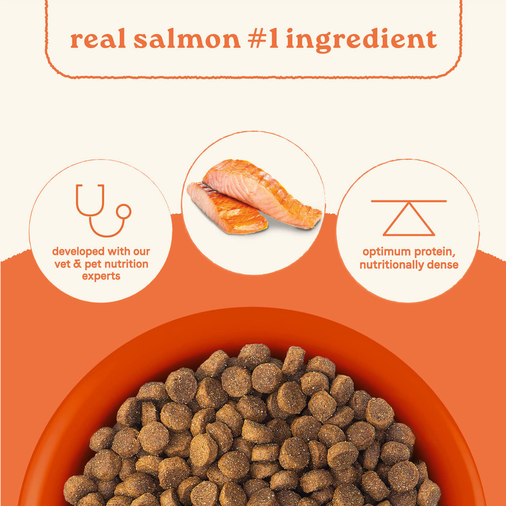 Canidae All Life Stages Salmon & Ancient Grains Dry Dog Food