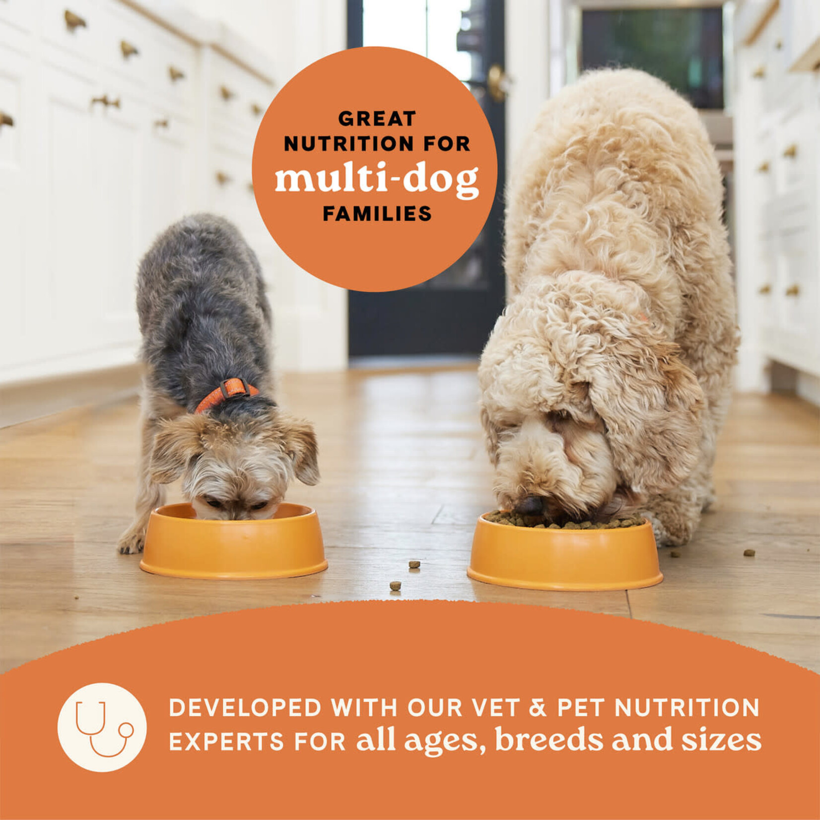 Canidae All Life Stages Lamb & Ancient Grains  Dry Dog Food