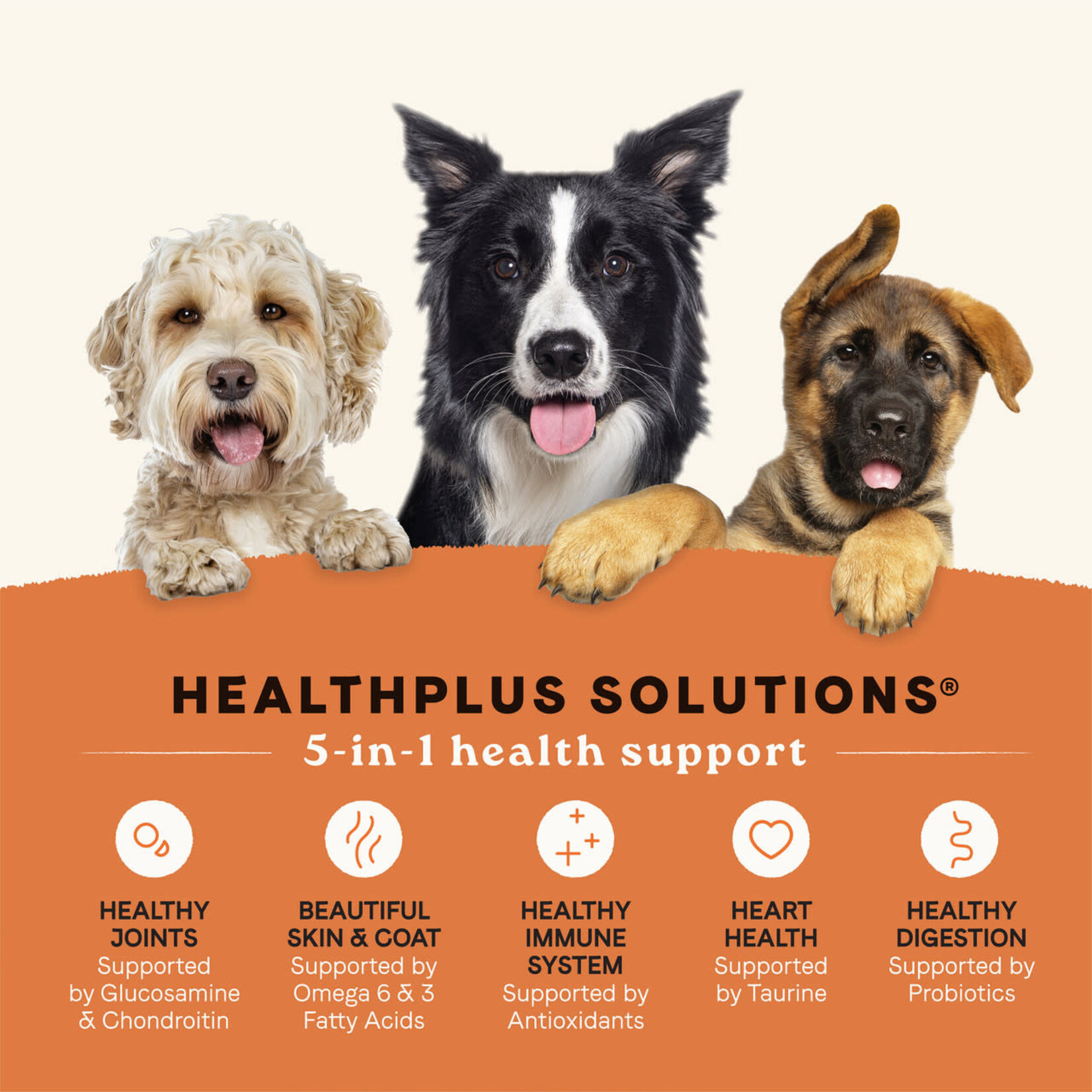 Canidae All Life Stages Lamb & Ancient Grains  Dry Dog Food