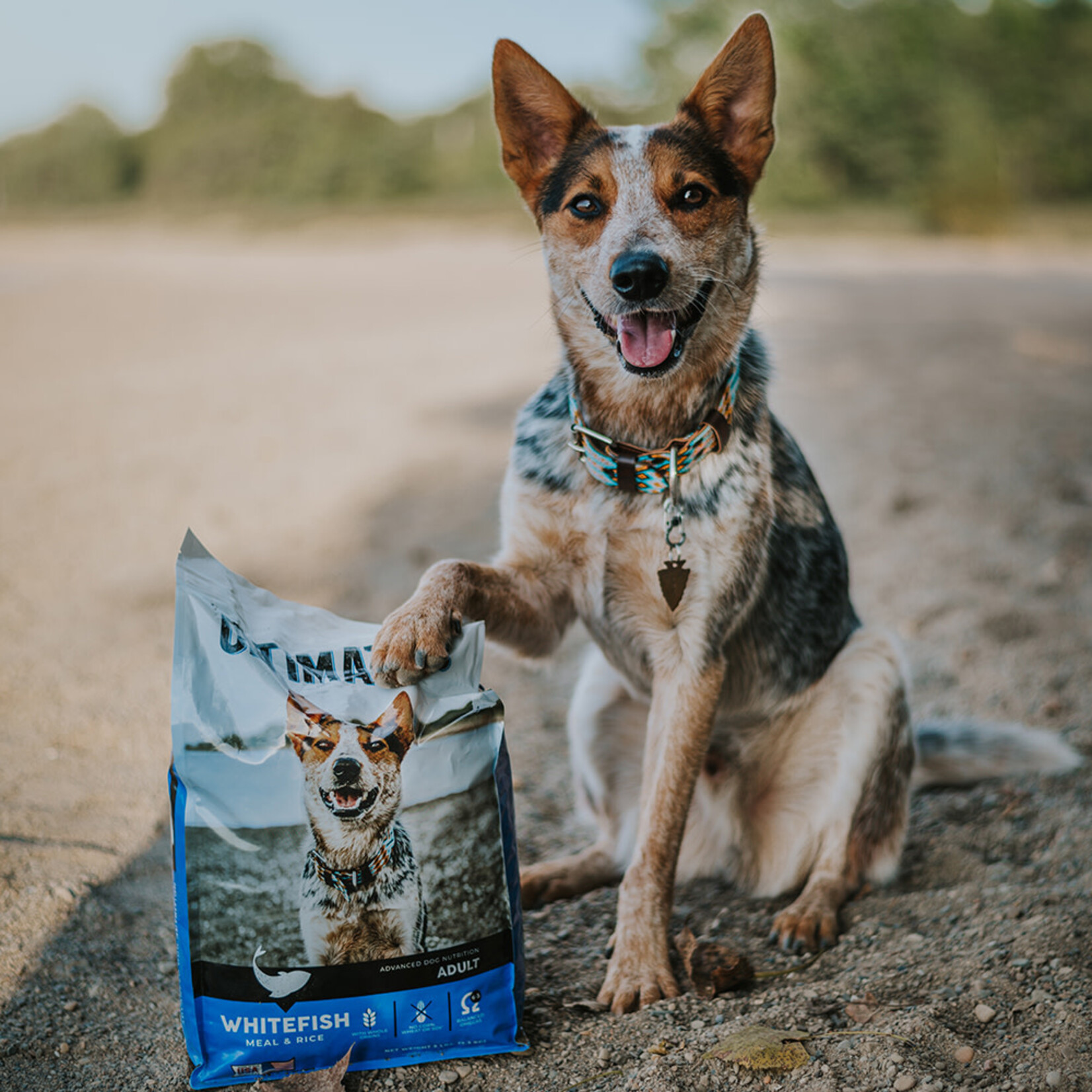 Ultimates Whitefish Meal & Rice For Adult Dogs