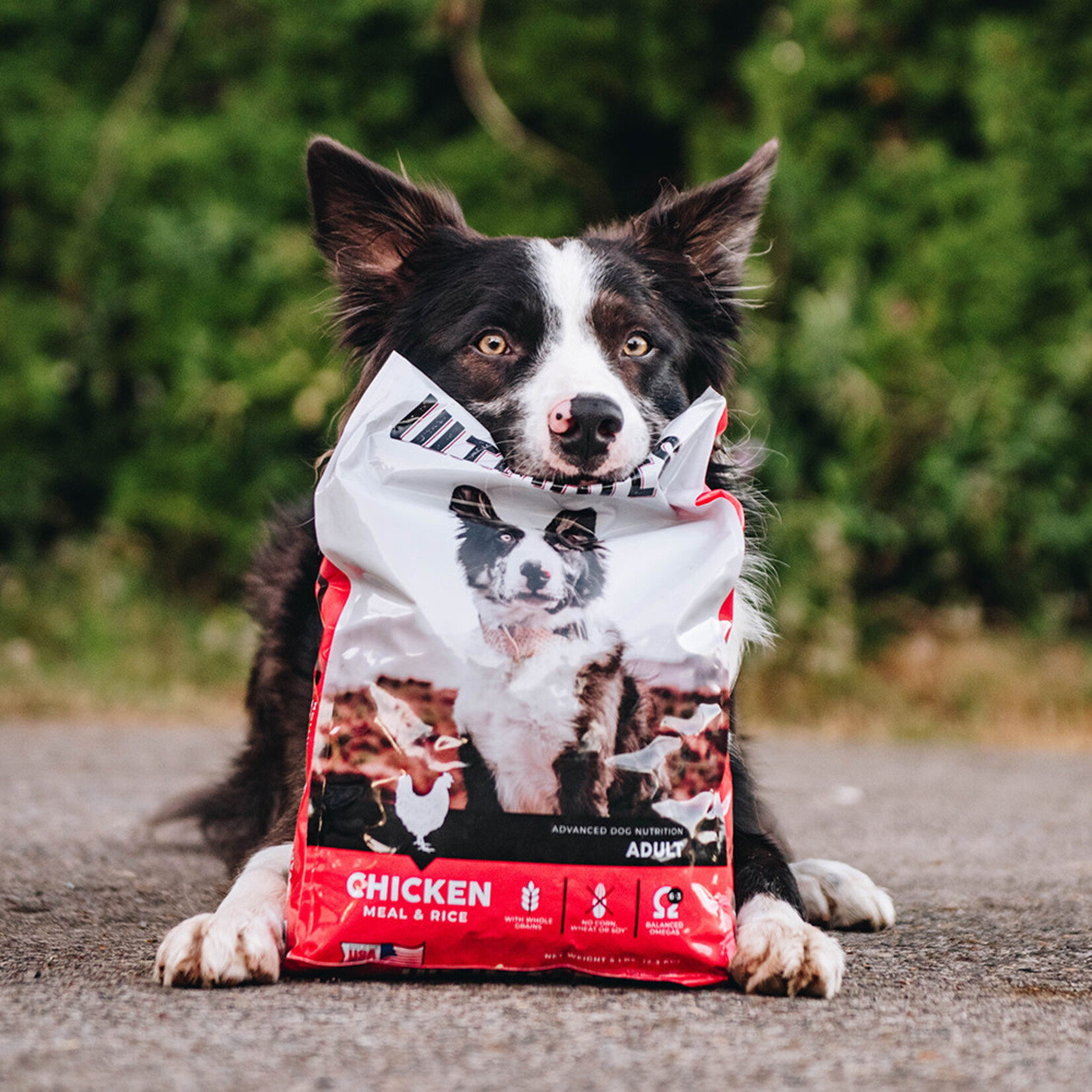 Ultimates Chicken Meal & Rice For Adult Dogs