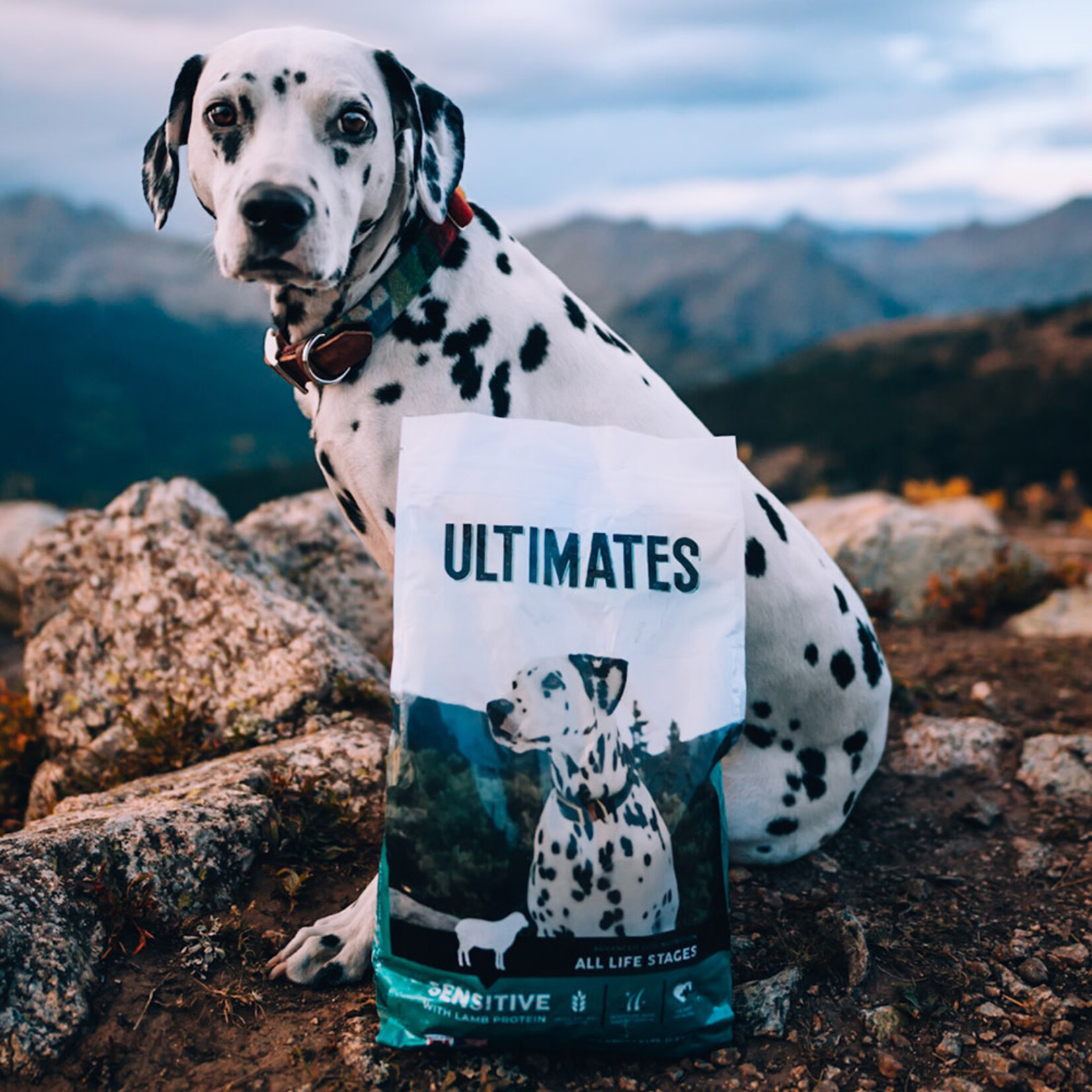 Ultimates Sensitive with Lamb Protein For All Life Stages