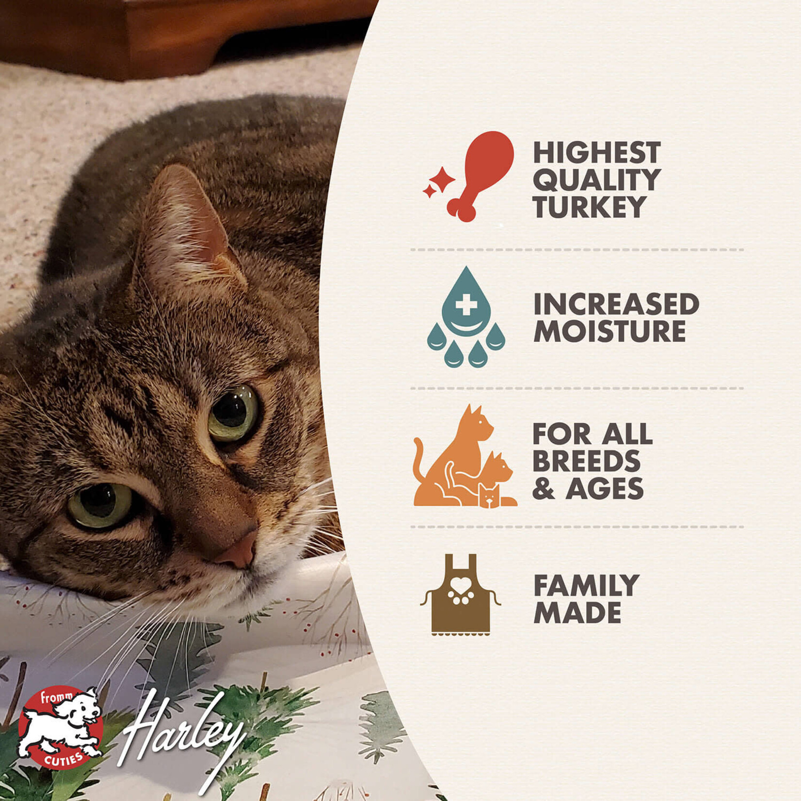 Fromm FROMM C Four-Star Pate Turkey & Pumpkin