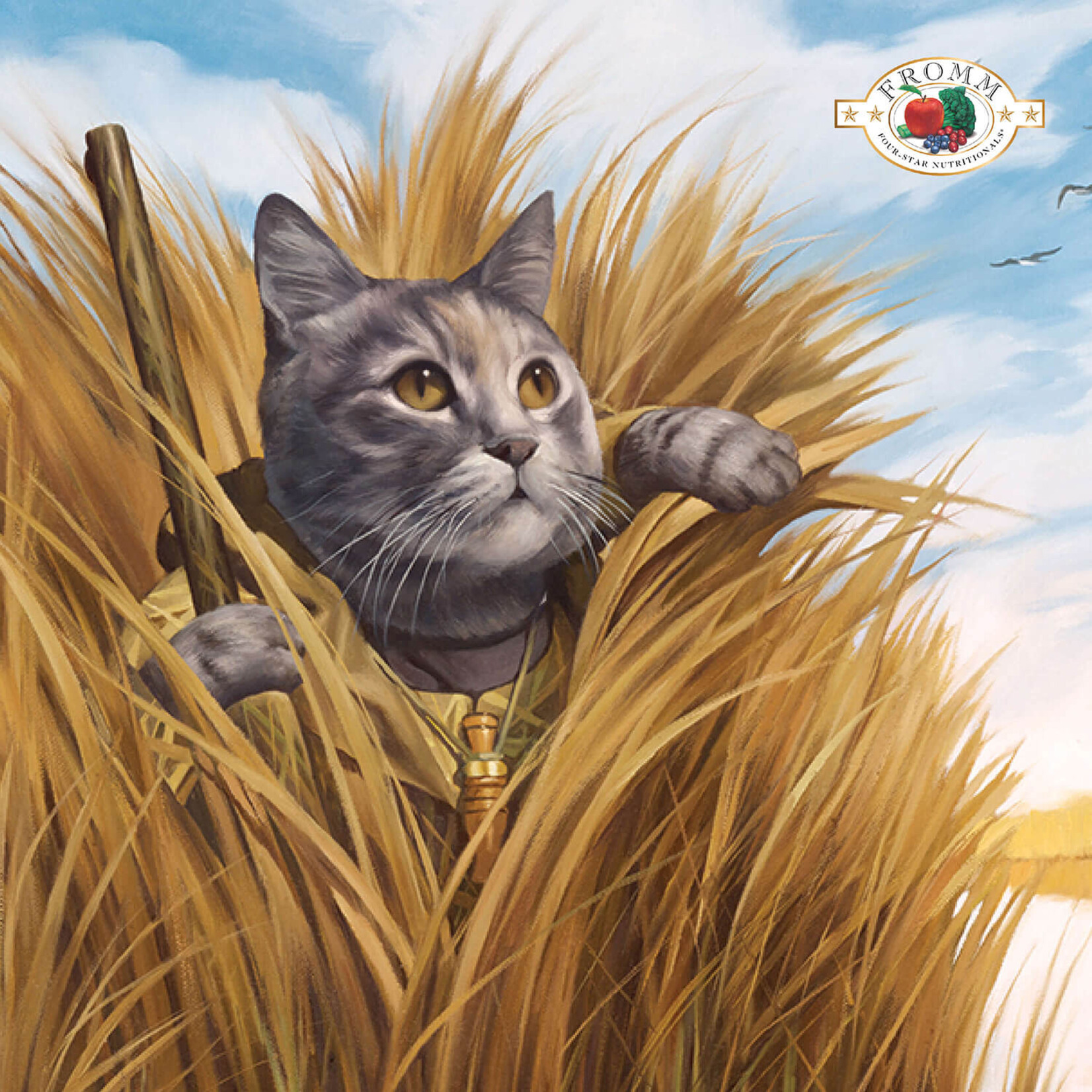 Fromm FROMM C Four-Star Pate Chicken & Duck