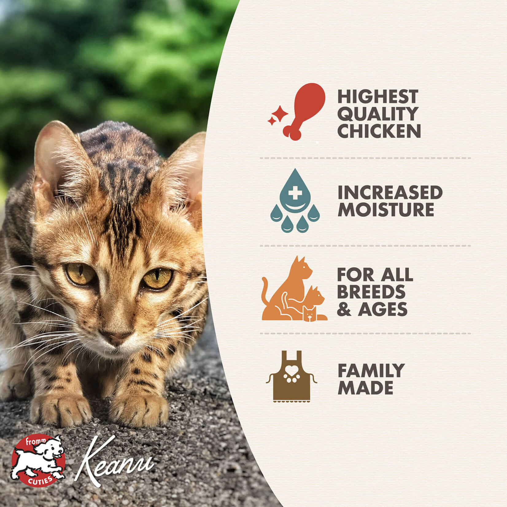 Fromm FROMM C Four-Star Pate Chicken