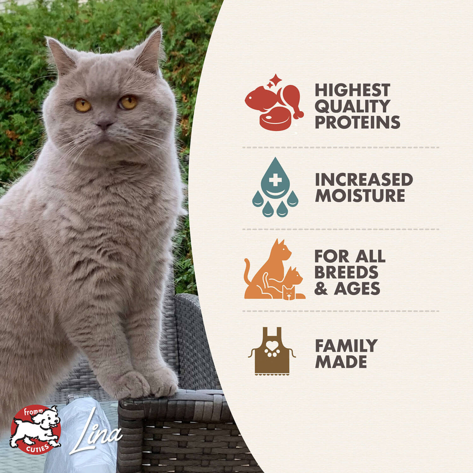 Fromm FROMM C Four-Star Pate Chicken, Duck, & Salmon