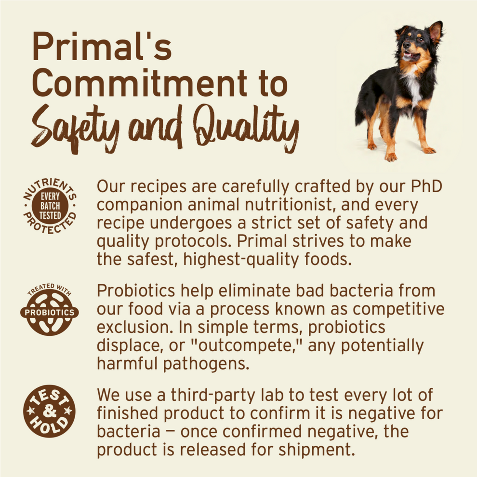 Primal Pet Foods Primal Canine Raw Freeze-Dried Nuggets Chicken