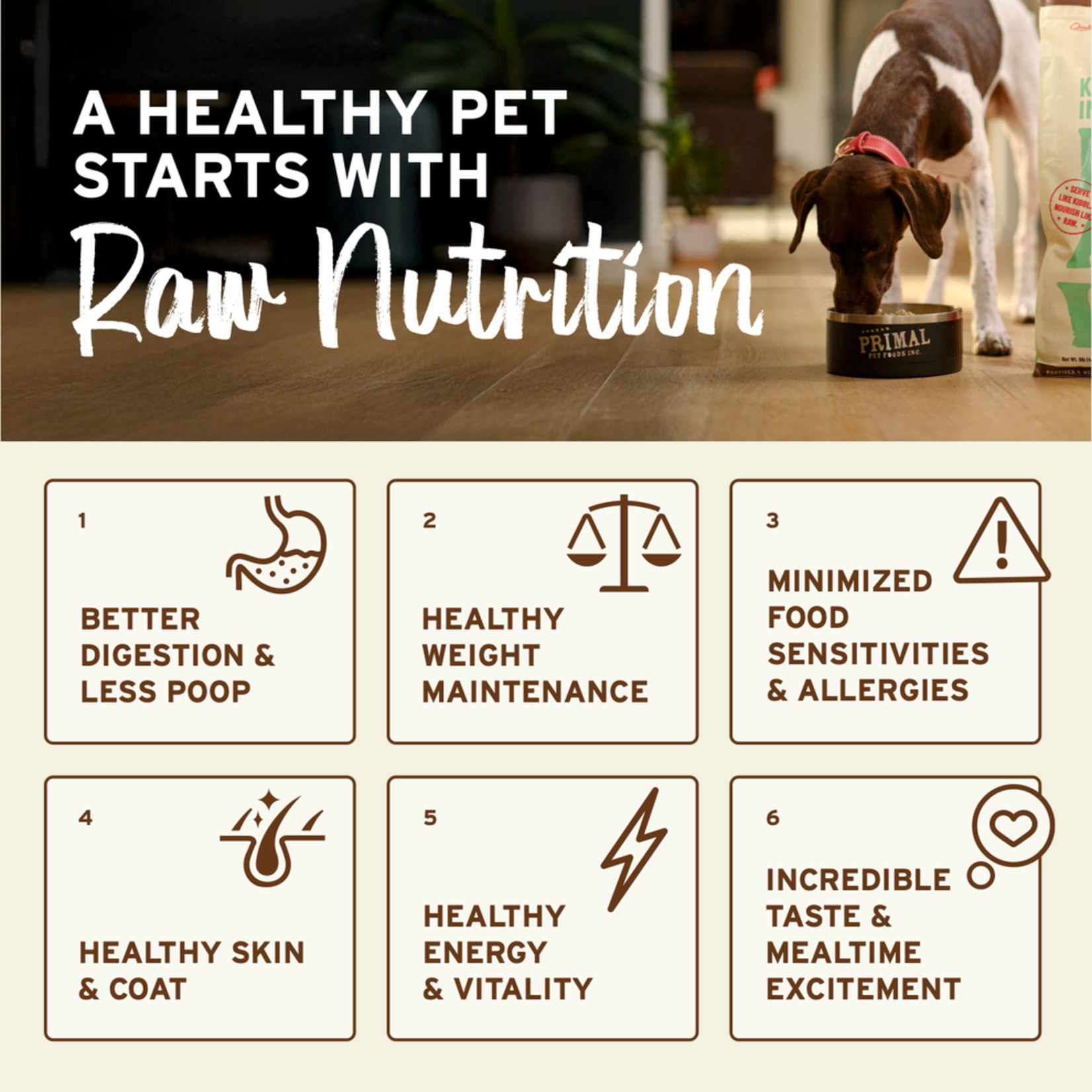 Primal Pet Foods Primal Canine Raw Freeze-Dried Nuggets Chicken