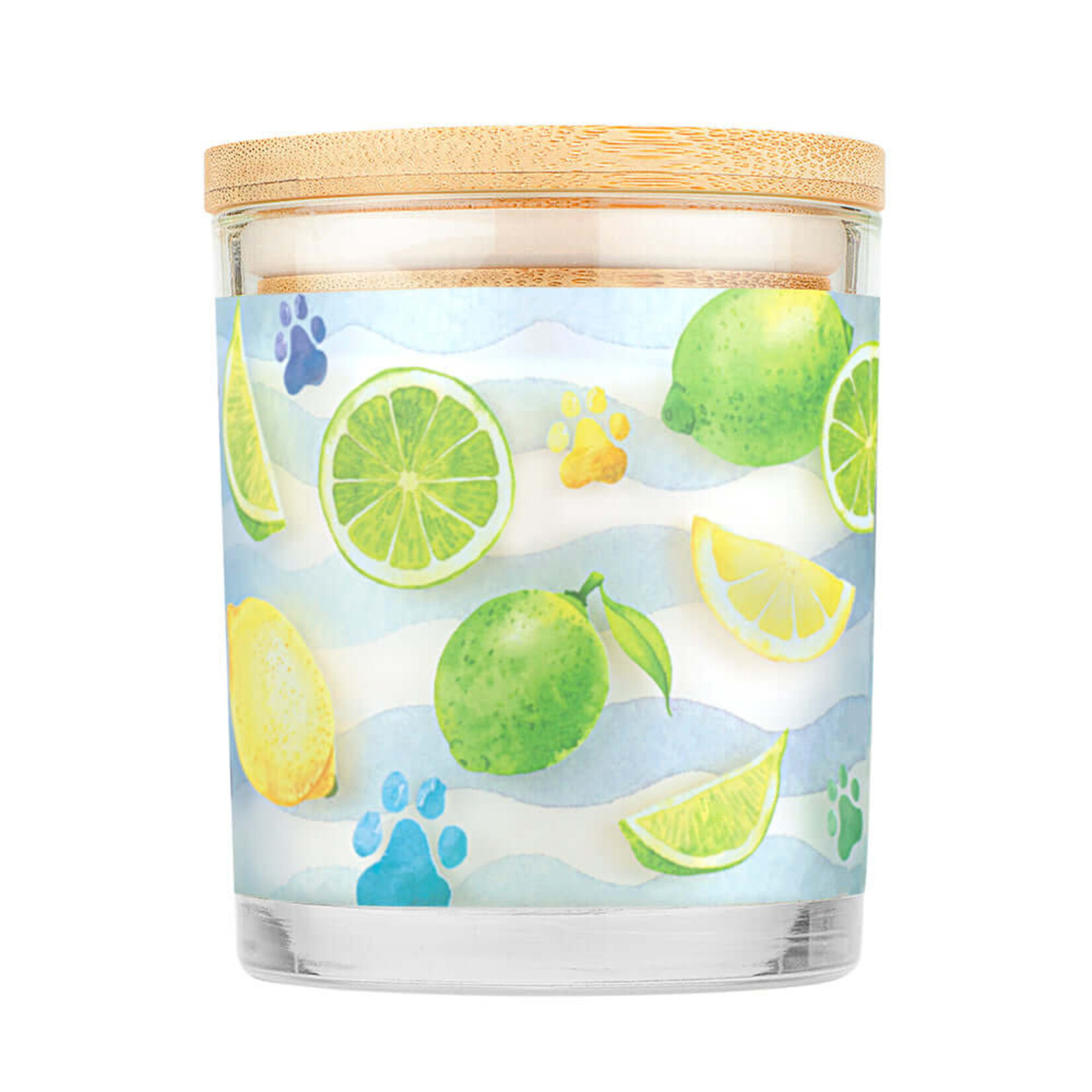 Pet House by One Fur All Sea Salt & Citrus Pet Odor Candle